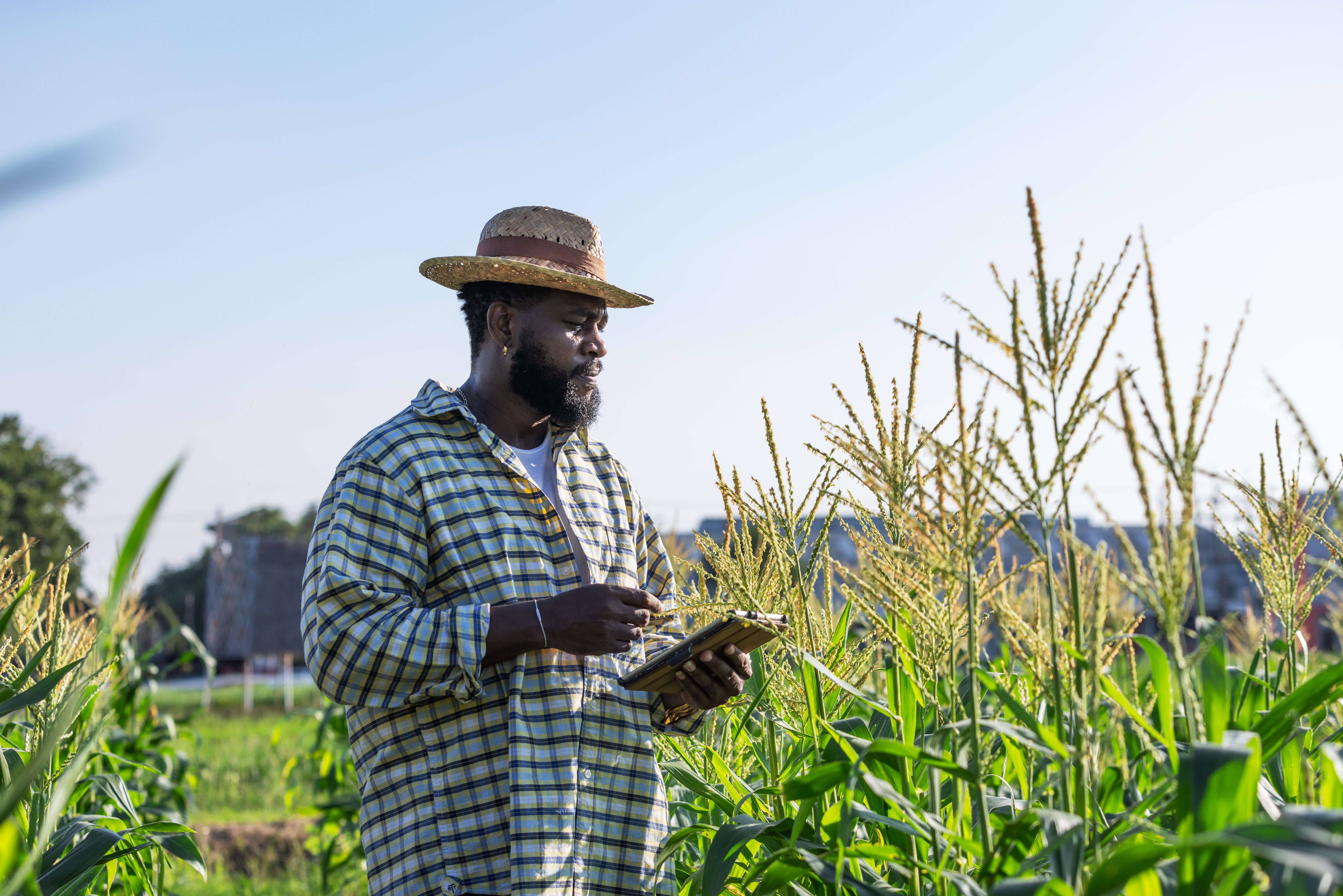 farmer monitoring