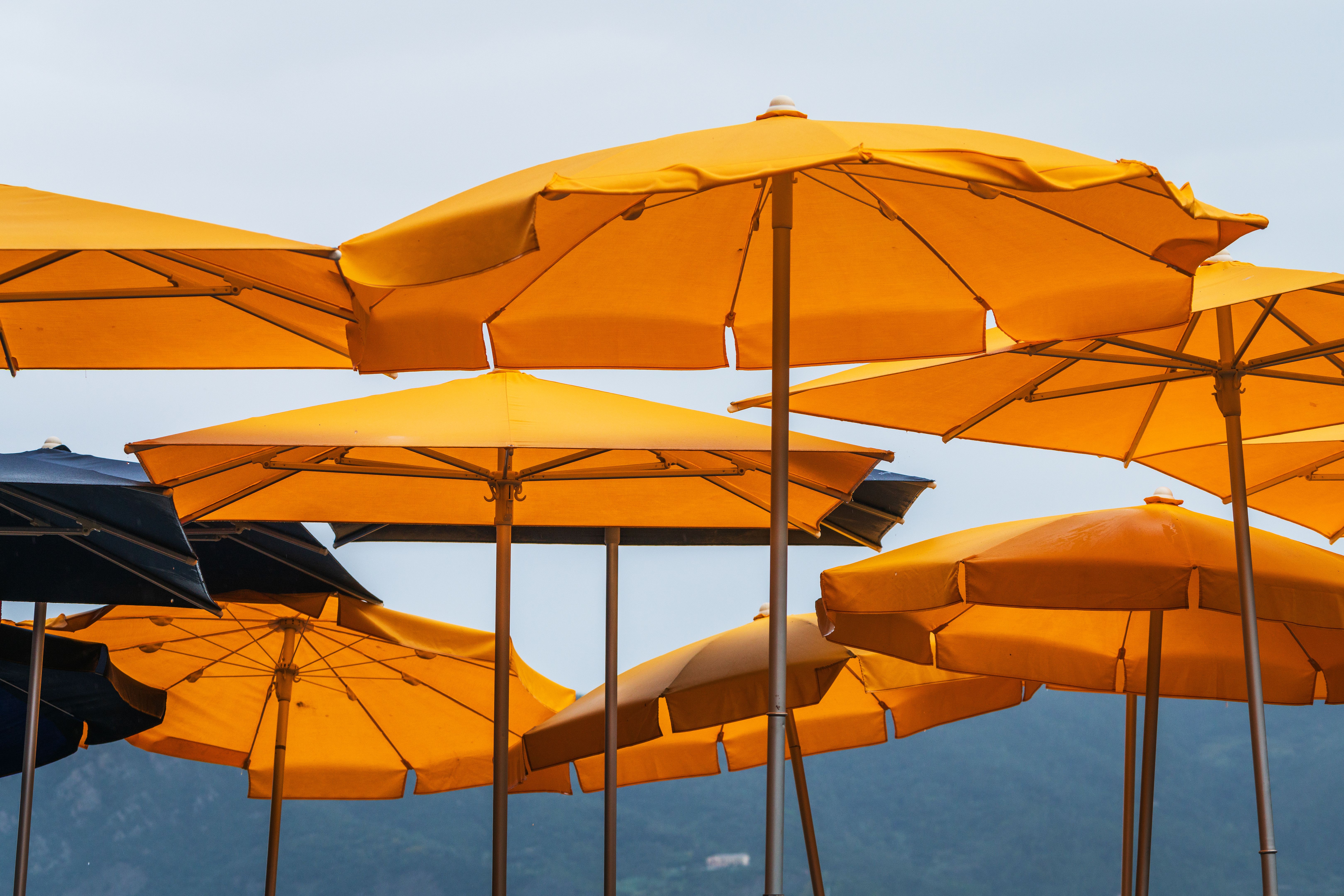 la spezia restaurant