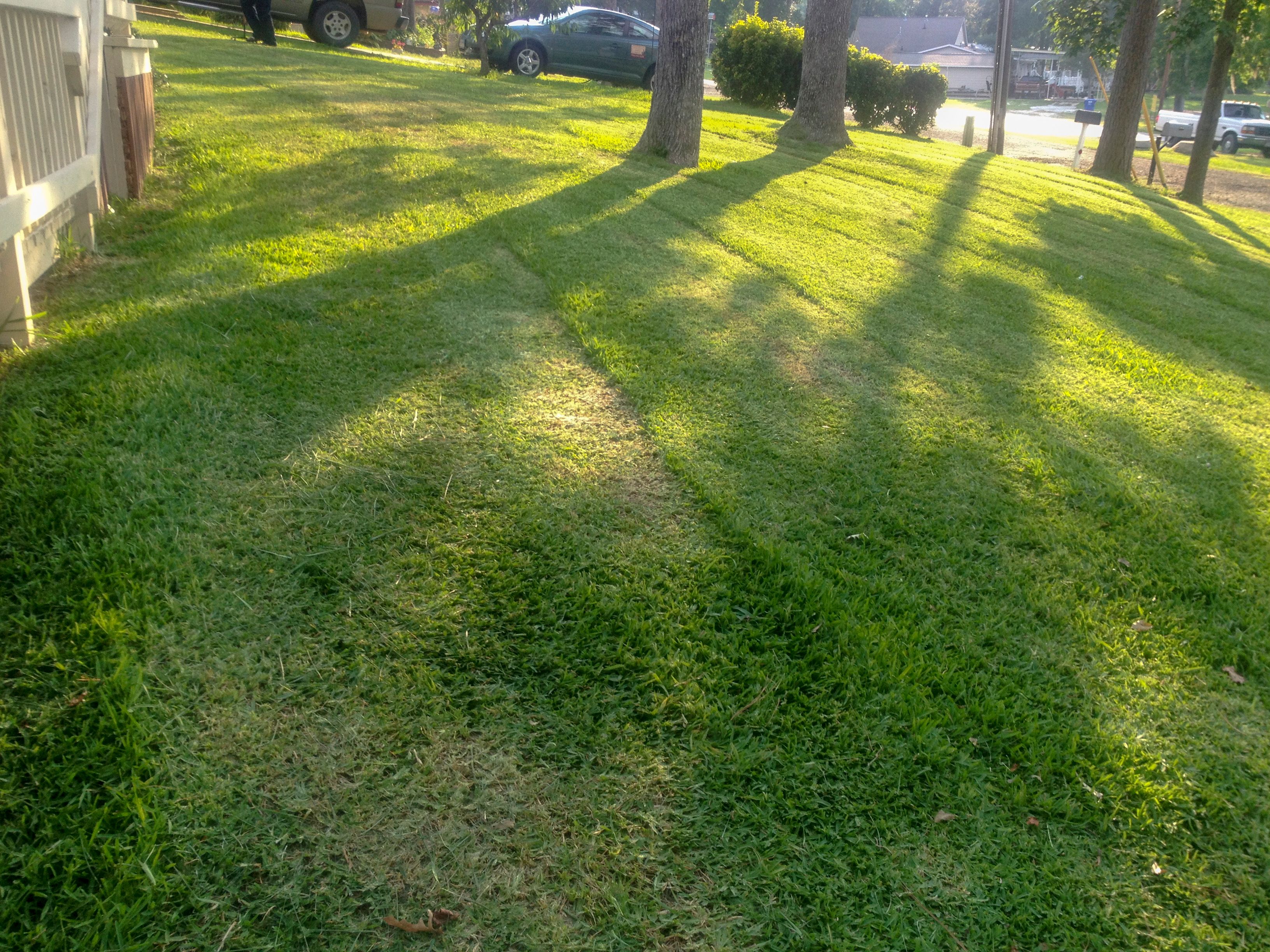 lawn care McLennan County