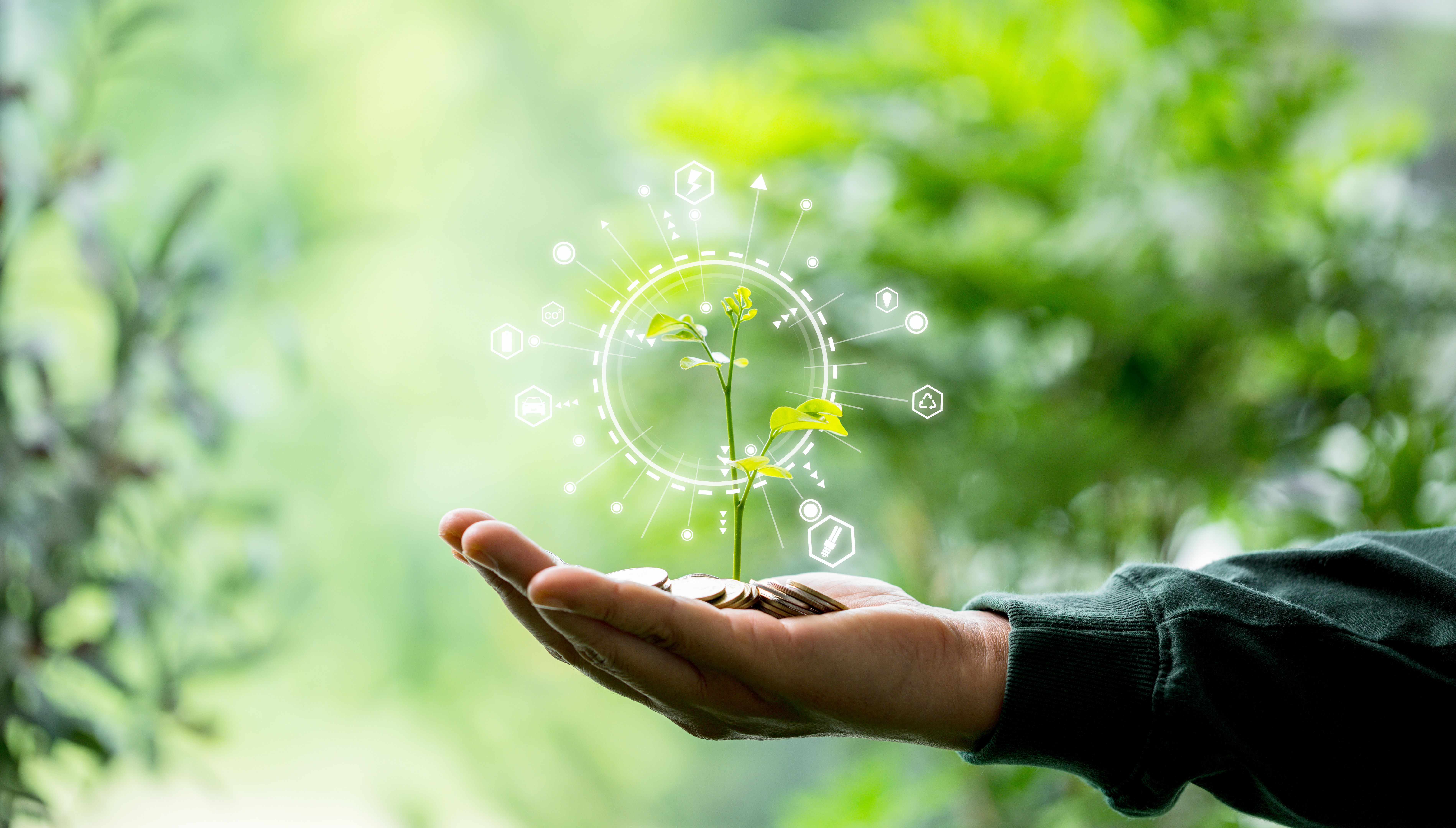 eco friendly initiatives
