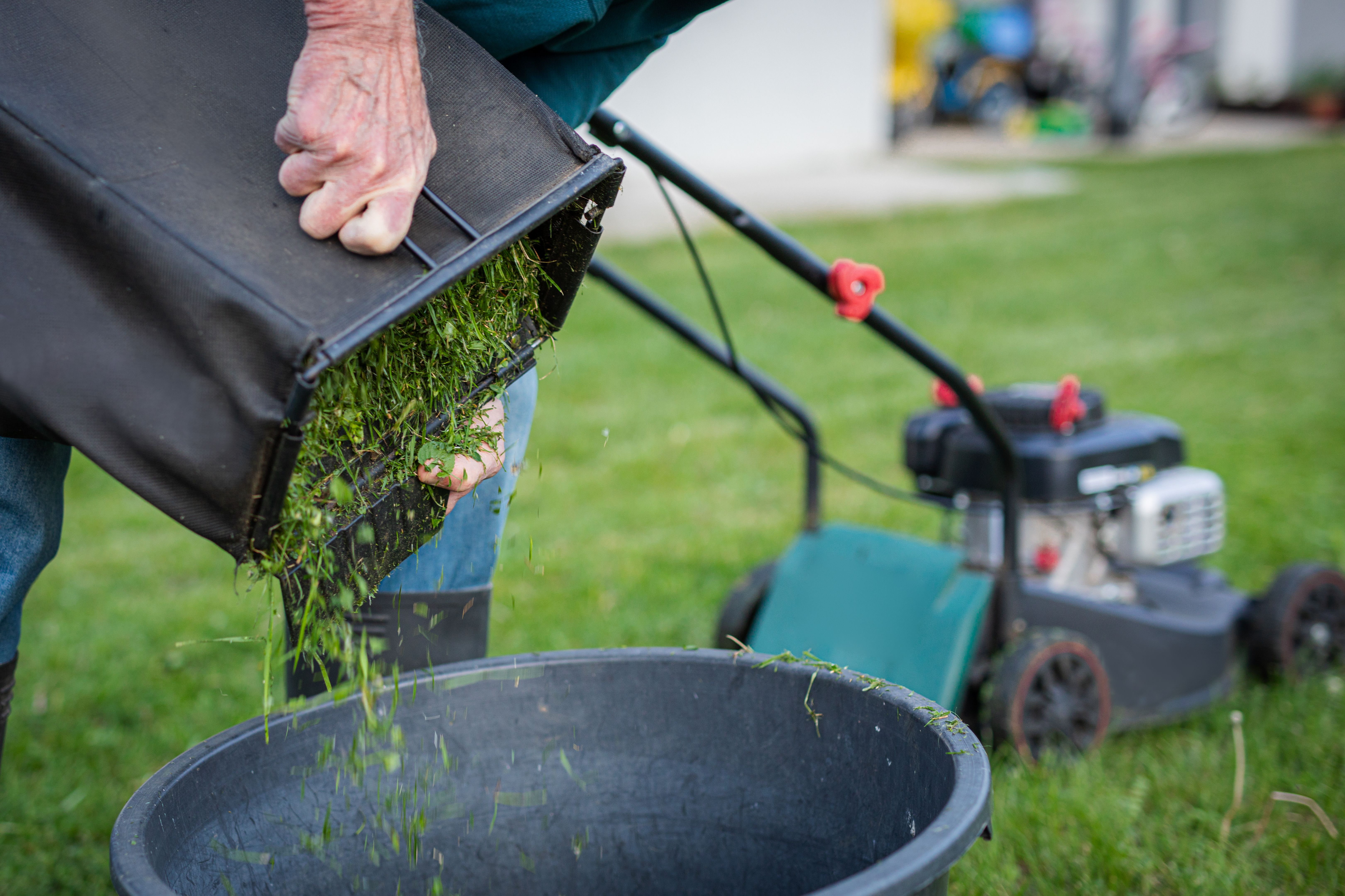 mulching garden