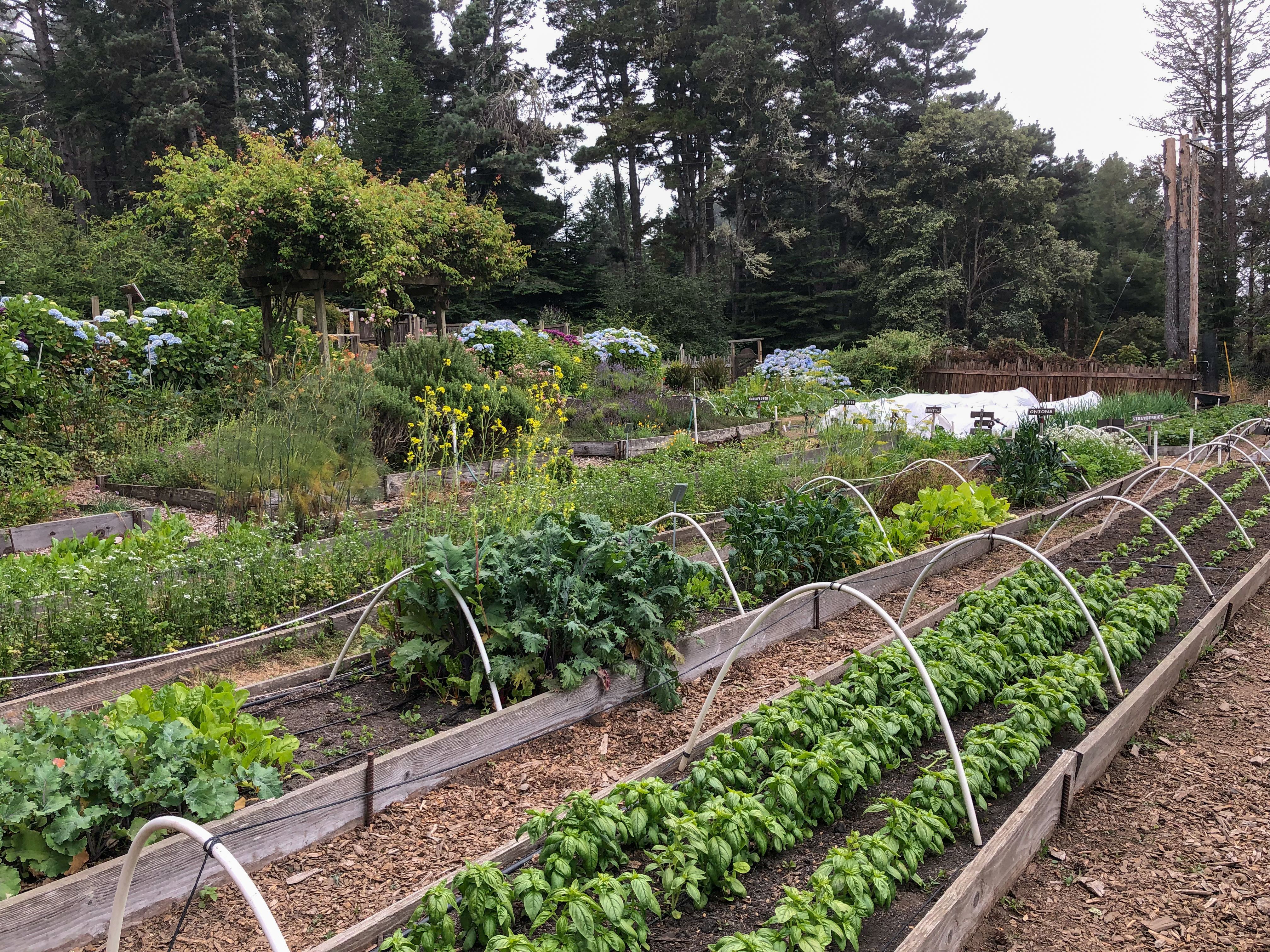 community farming
