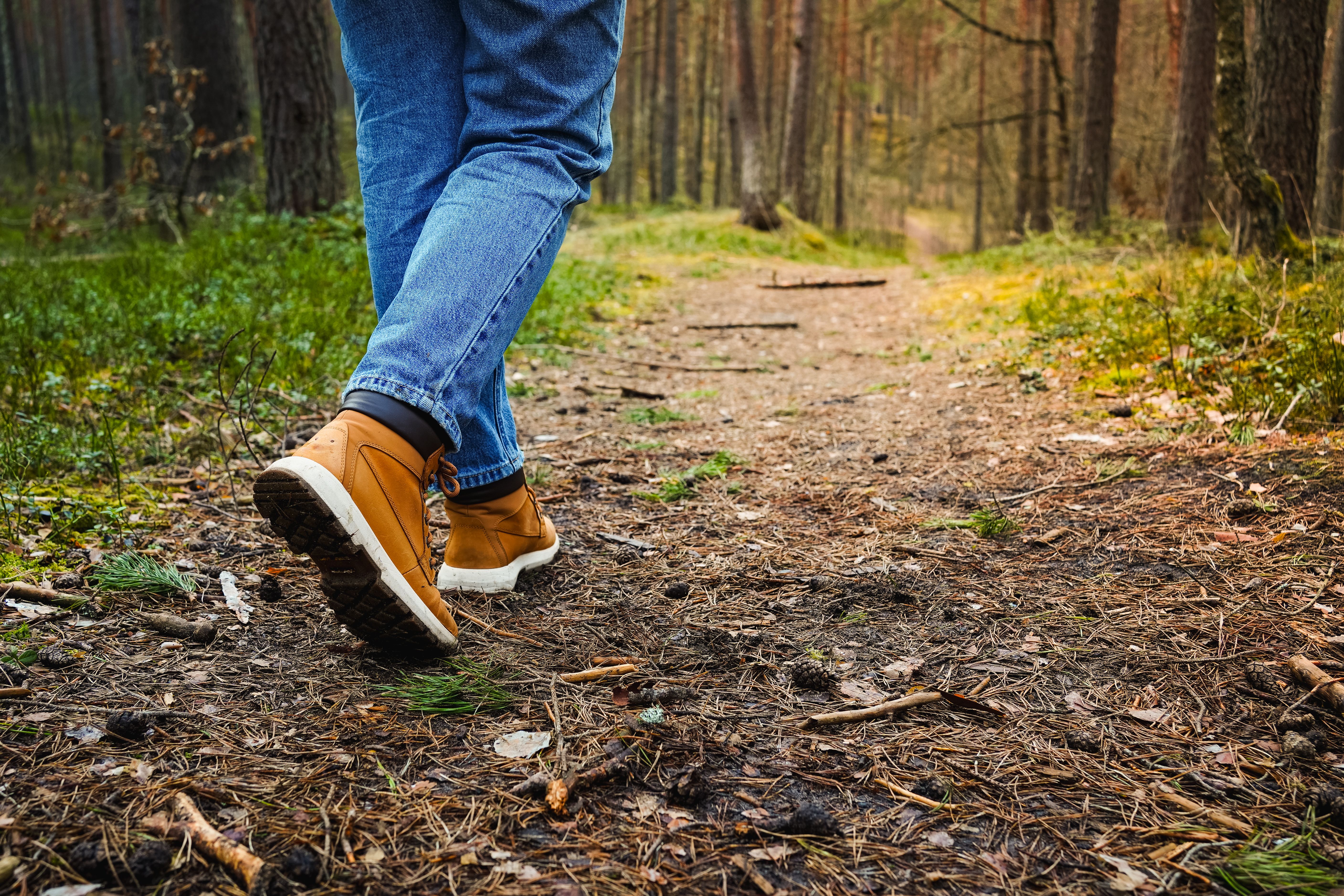 Close-up of a girlâs legs in jeans and hiking boots walking through a forest, path covered with pine needles, surrounded by pine trees, peaceful nature walkâ Close-up of a girlâs legs in jeans and hiking boots walking through a forest, path covered with pine needles, surrounded by pine trees, peaceful nature walkâ