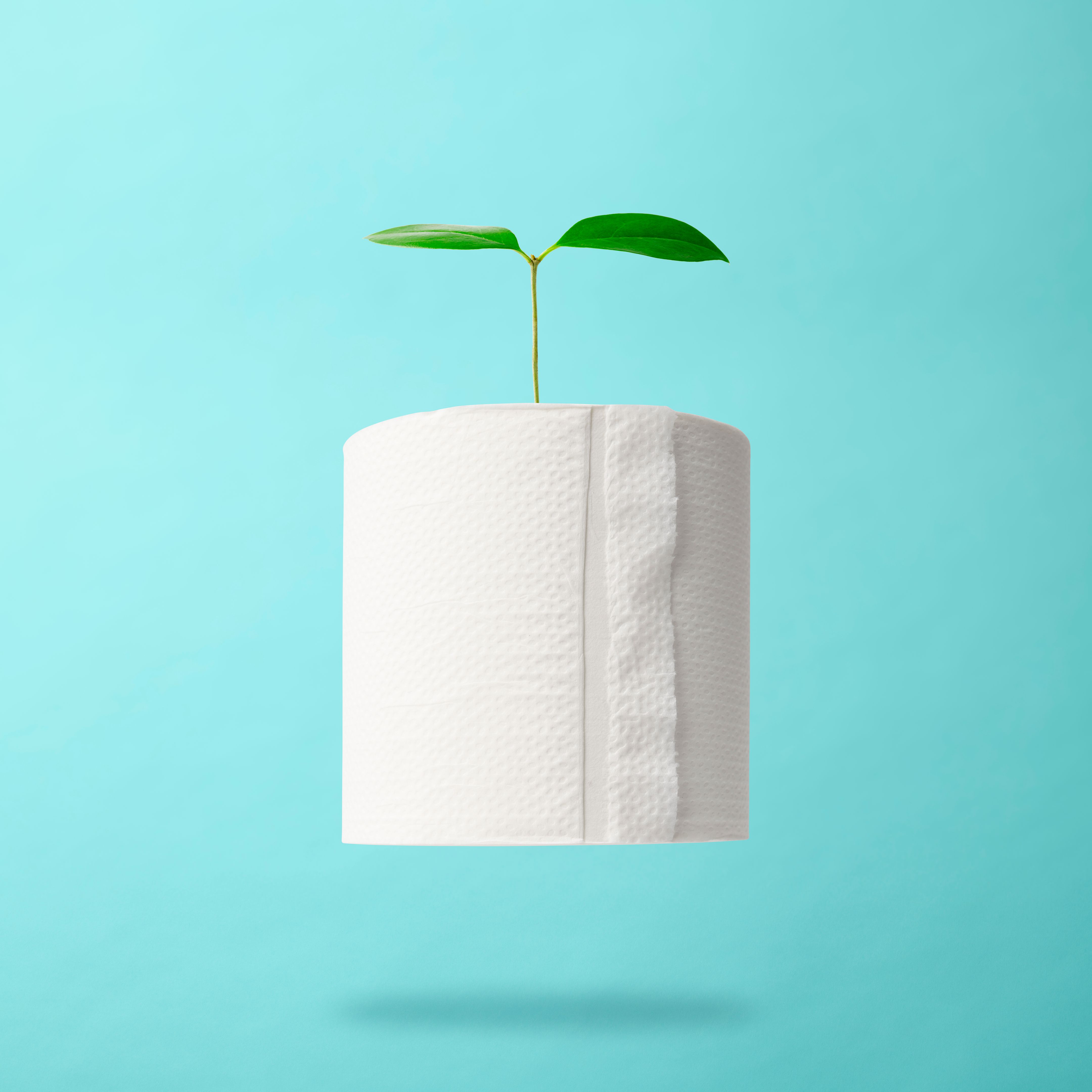 eco-friendly tissue