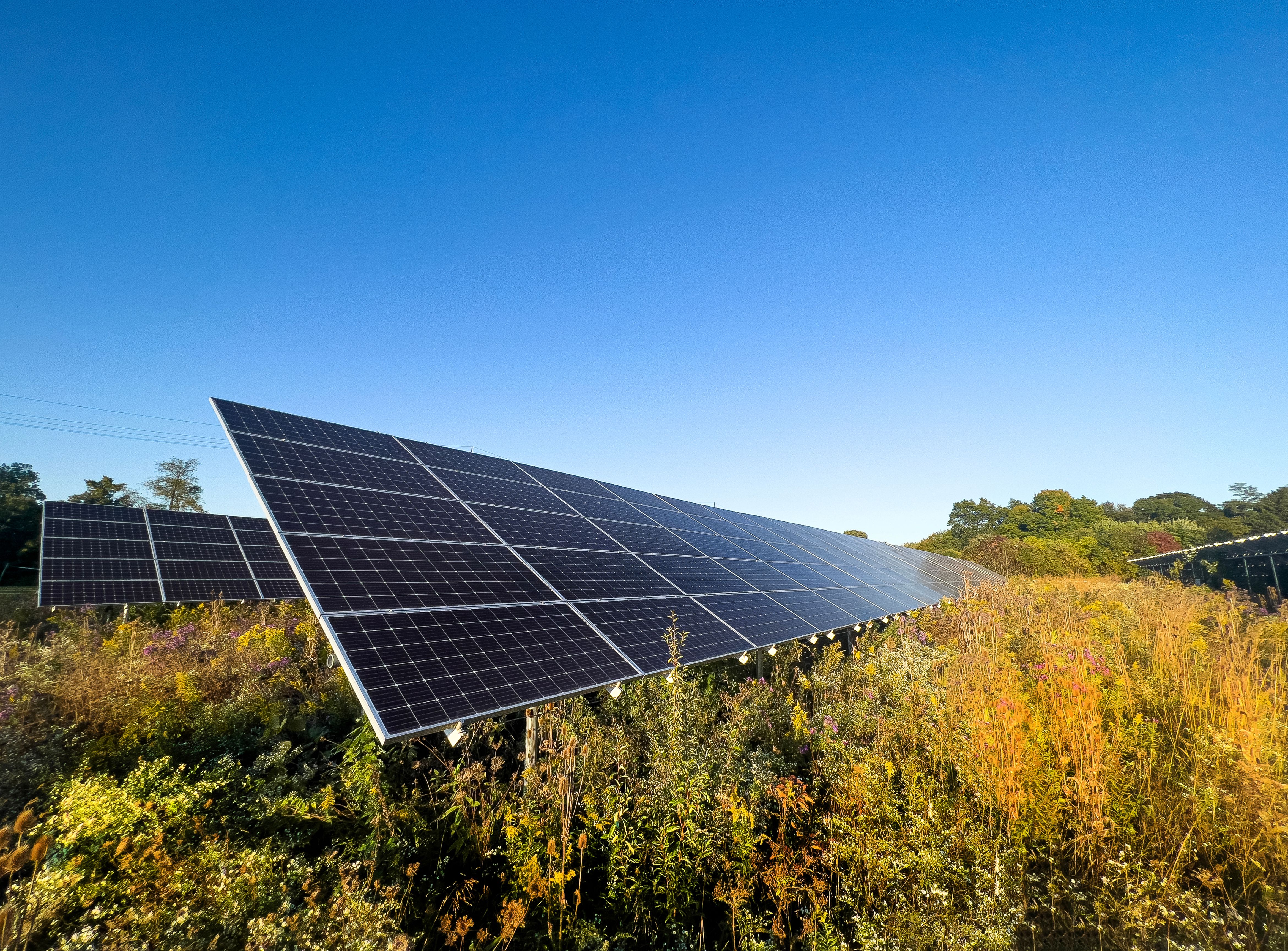 autumn leaves solar panels