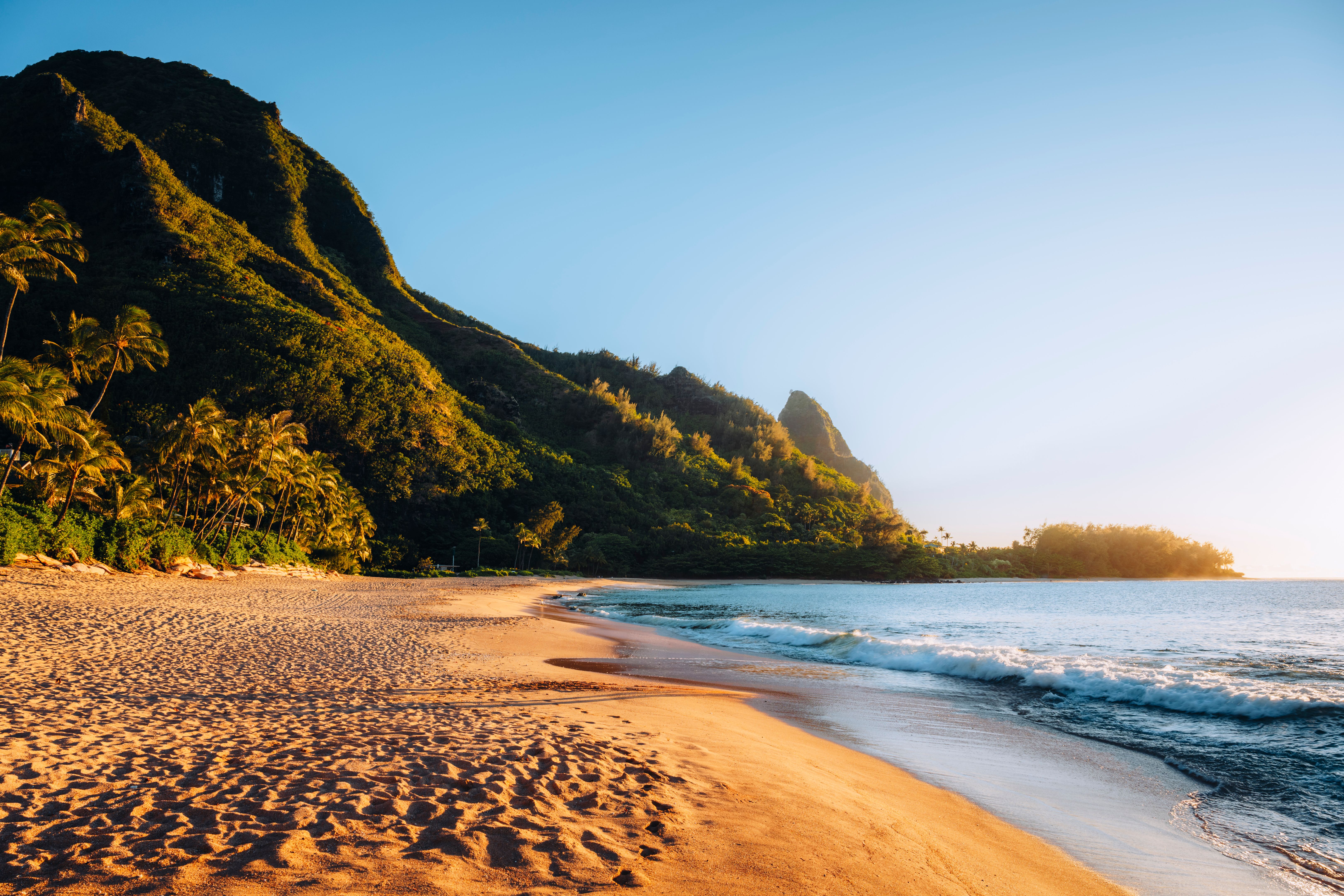hawaii beach