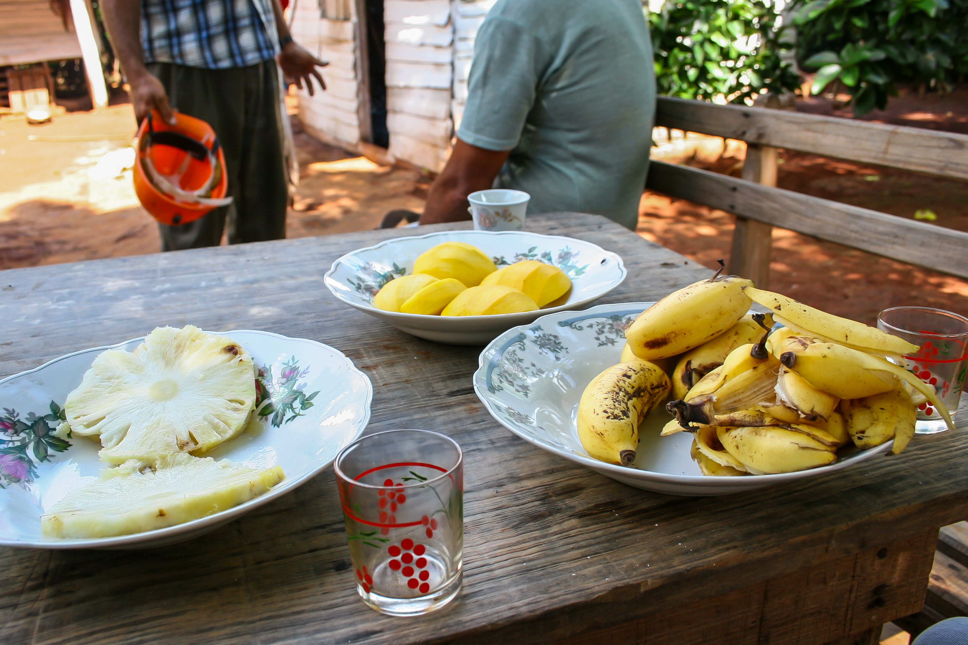caribbean feast