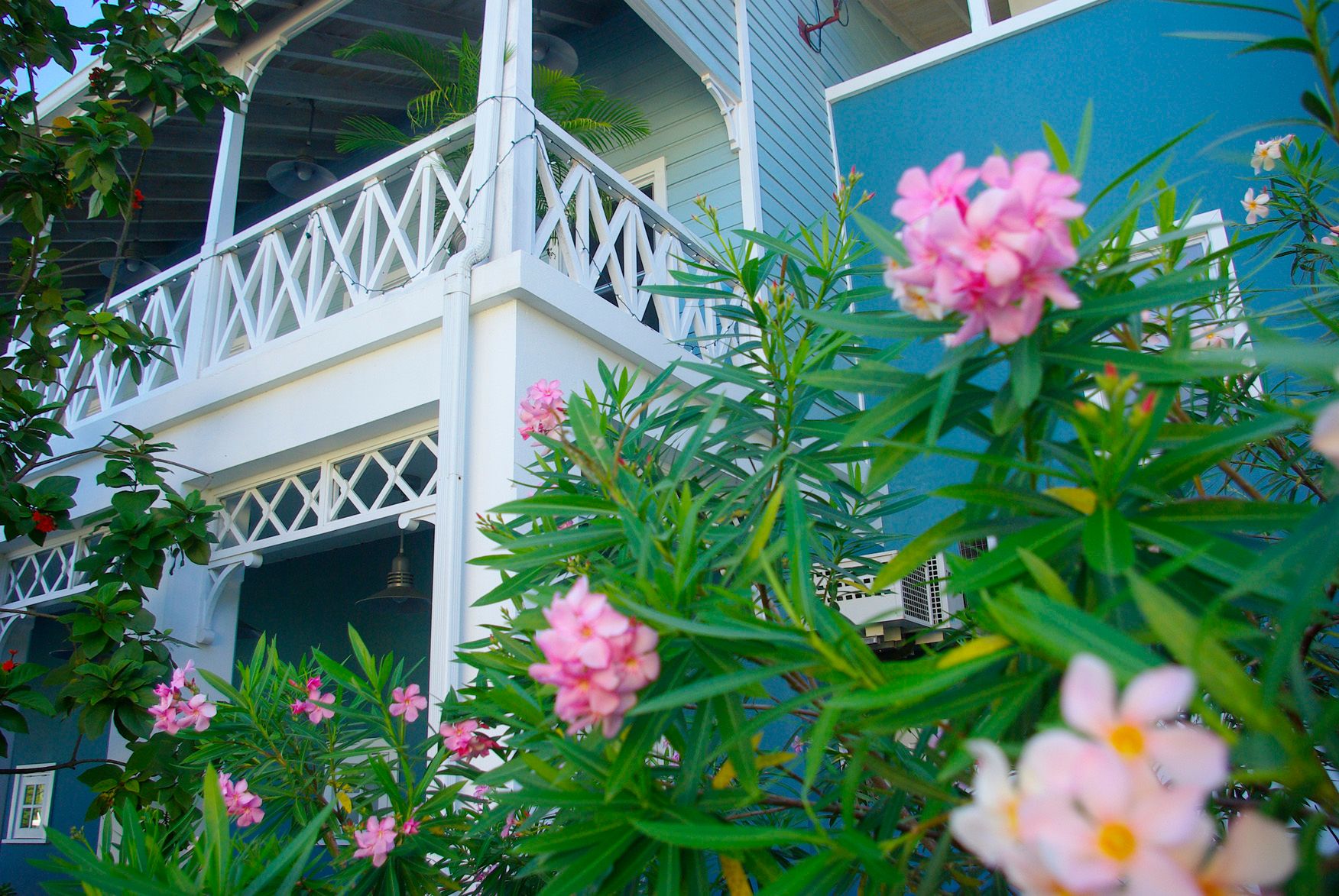 Barbados home garden
