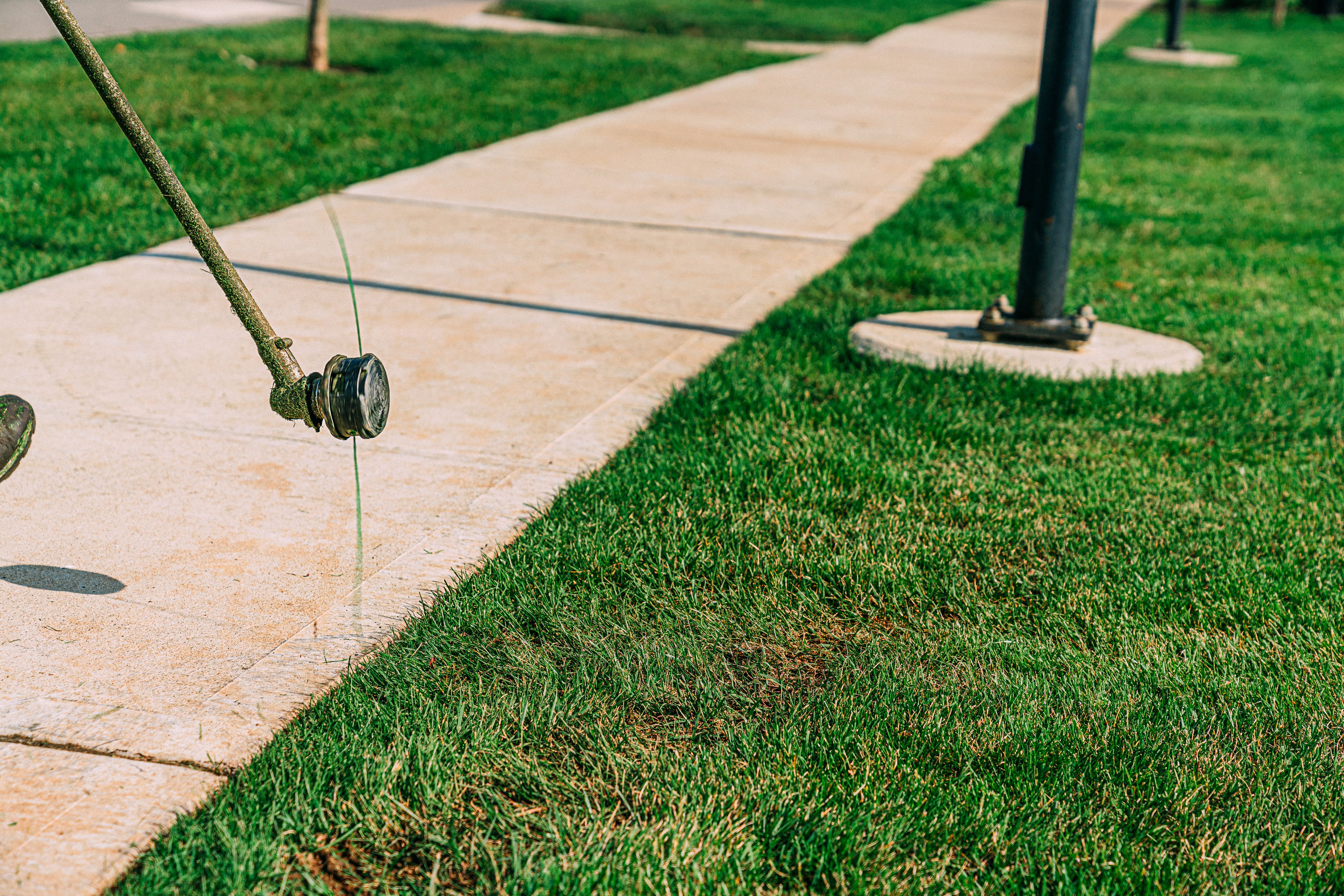 Weed Trimmer Edging a Sidewalk for a Neighborhood Park