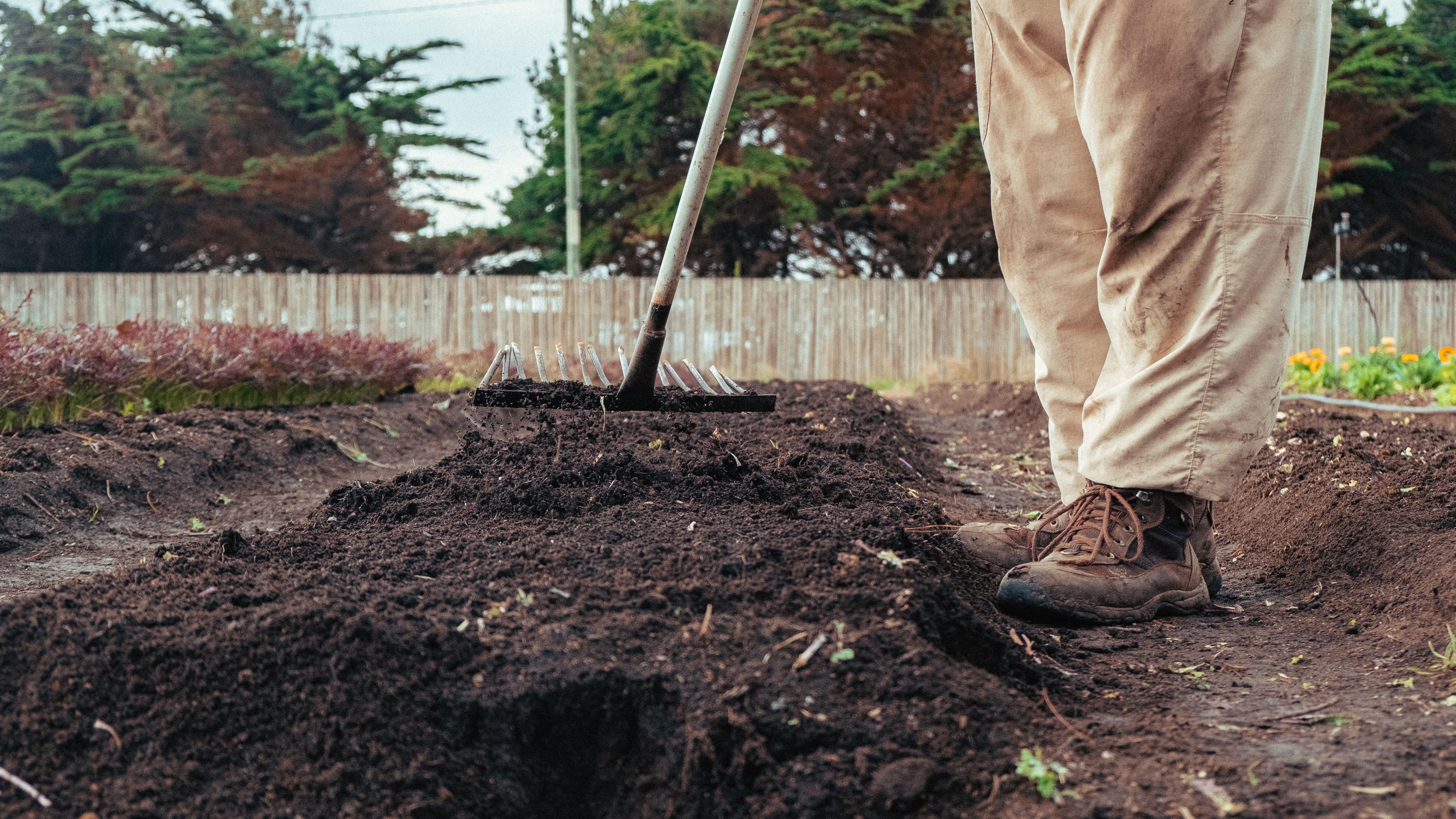 person working on the land, organic fruits and vegetables, for healthy plant-based eating, chilean