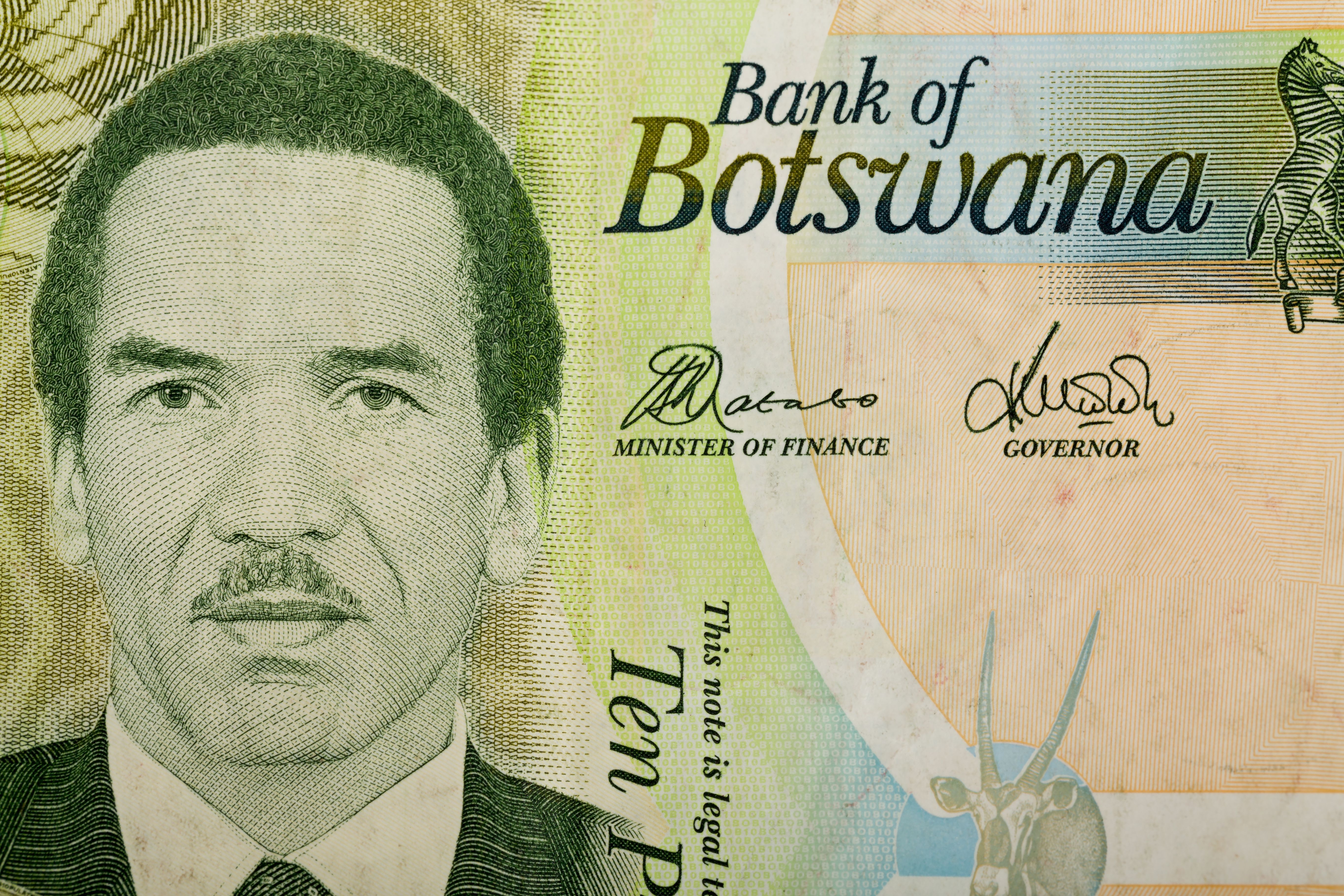 botwana finance