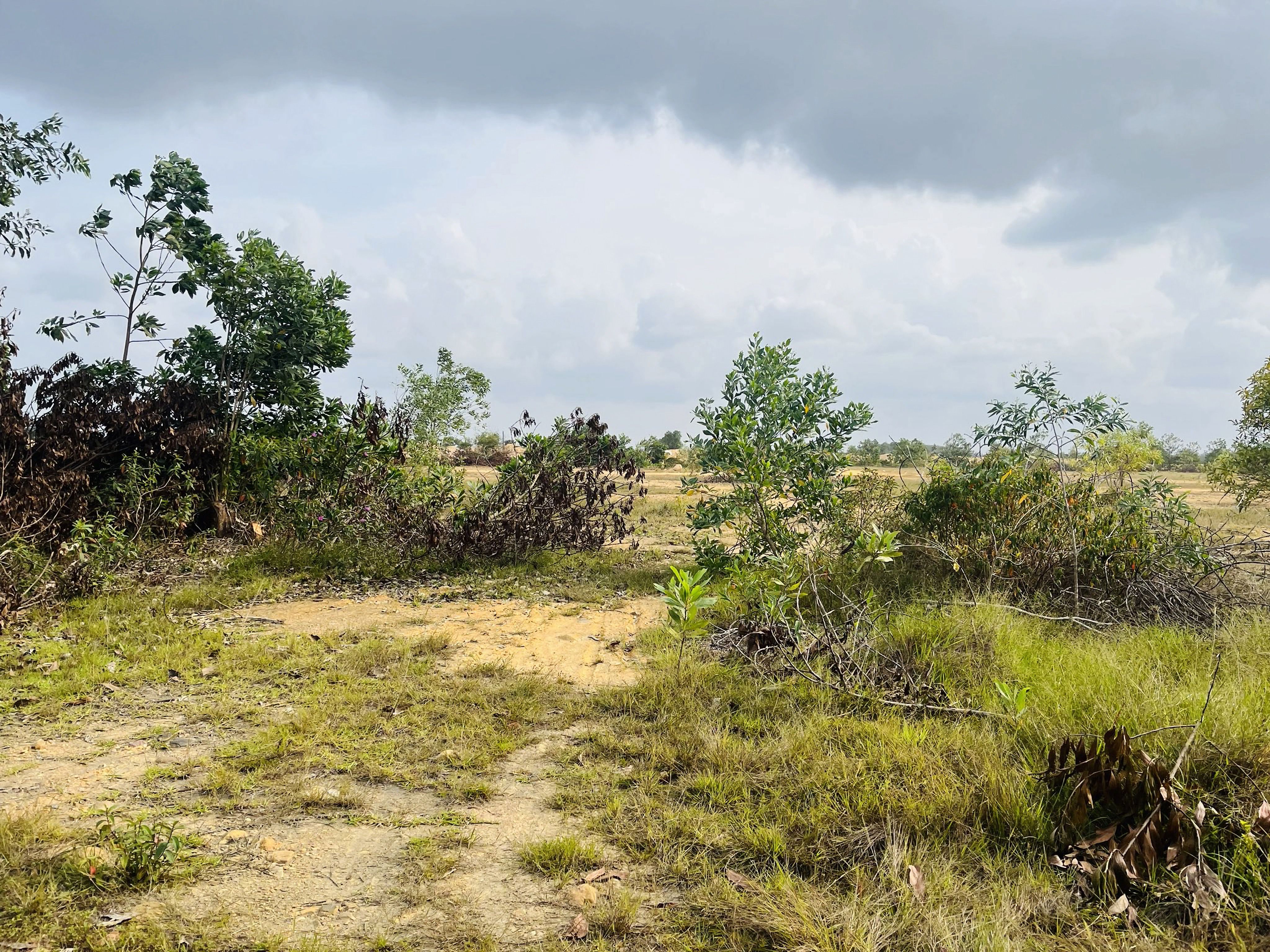 pasir gudang environment