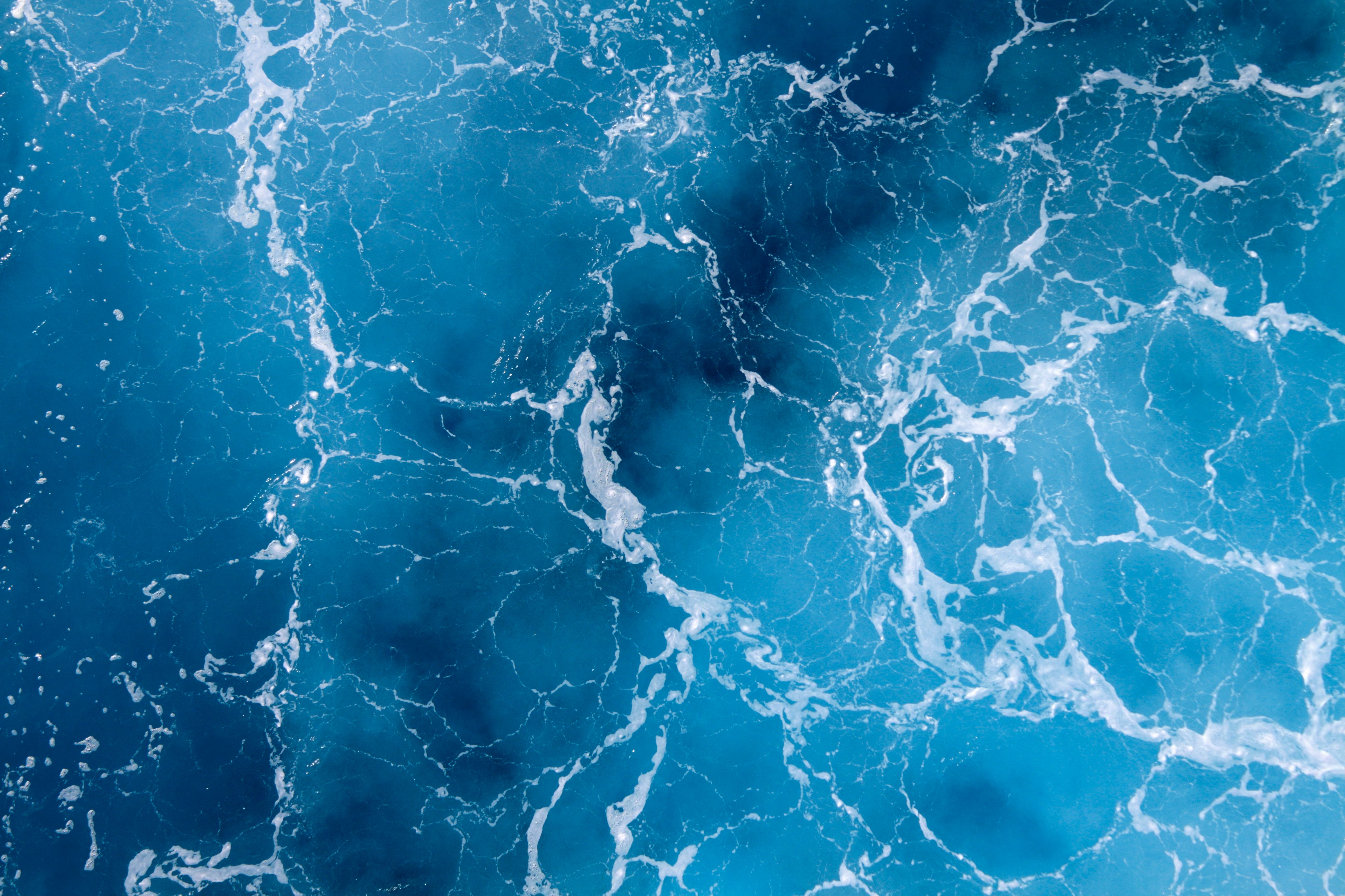 Deep Blue Sea Deep Blue Sea