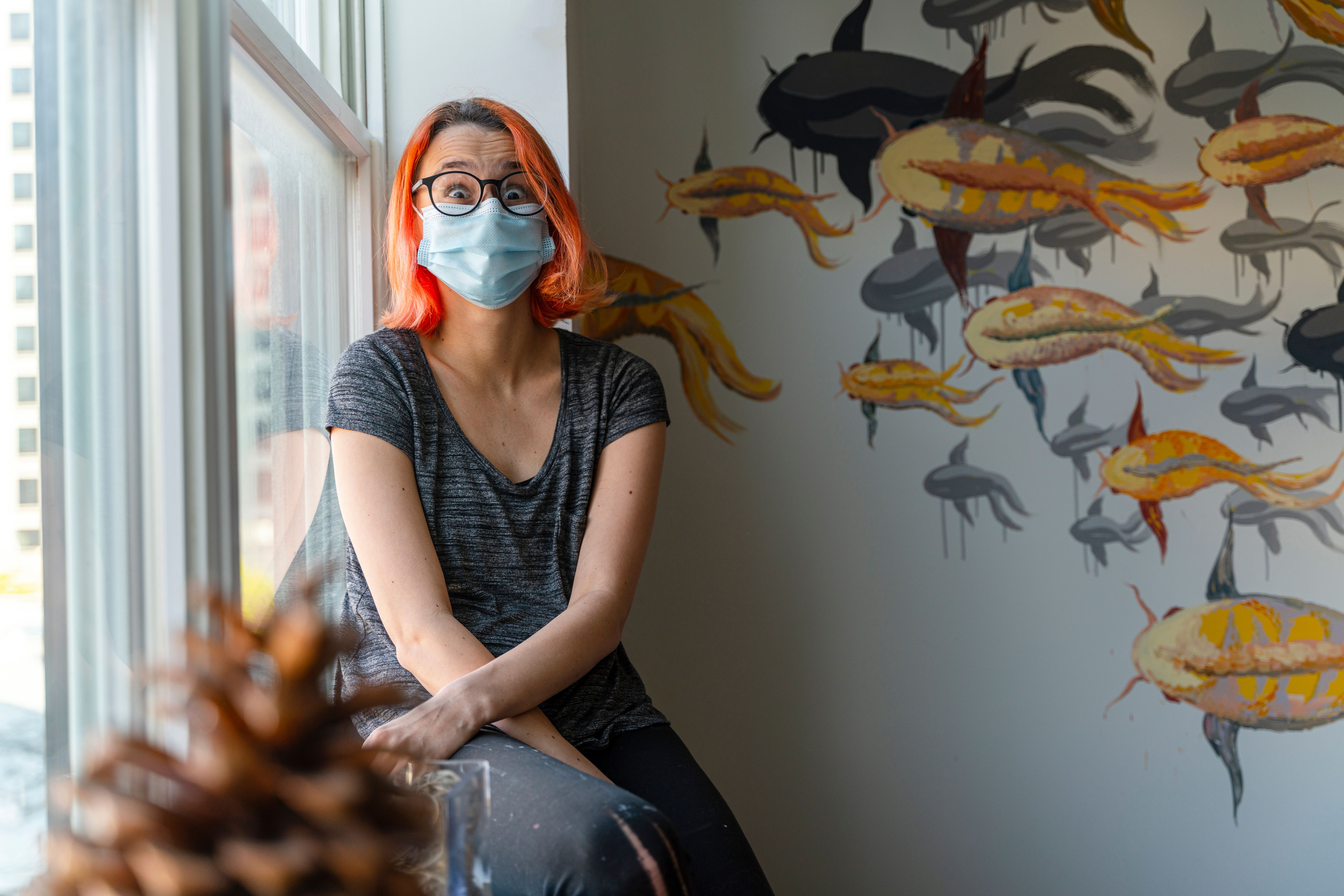 affordable house sitting