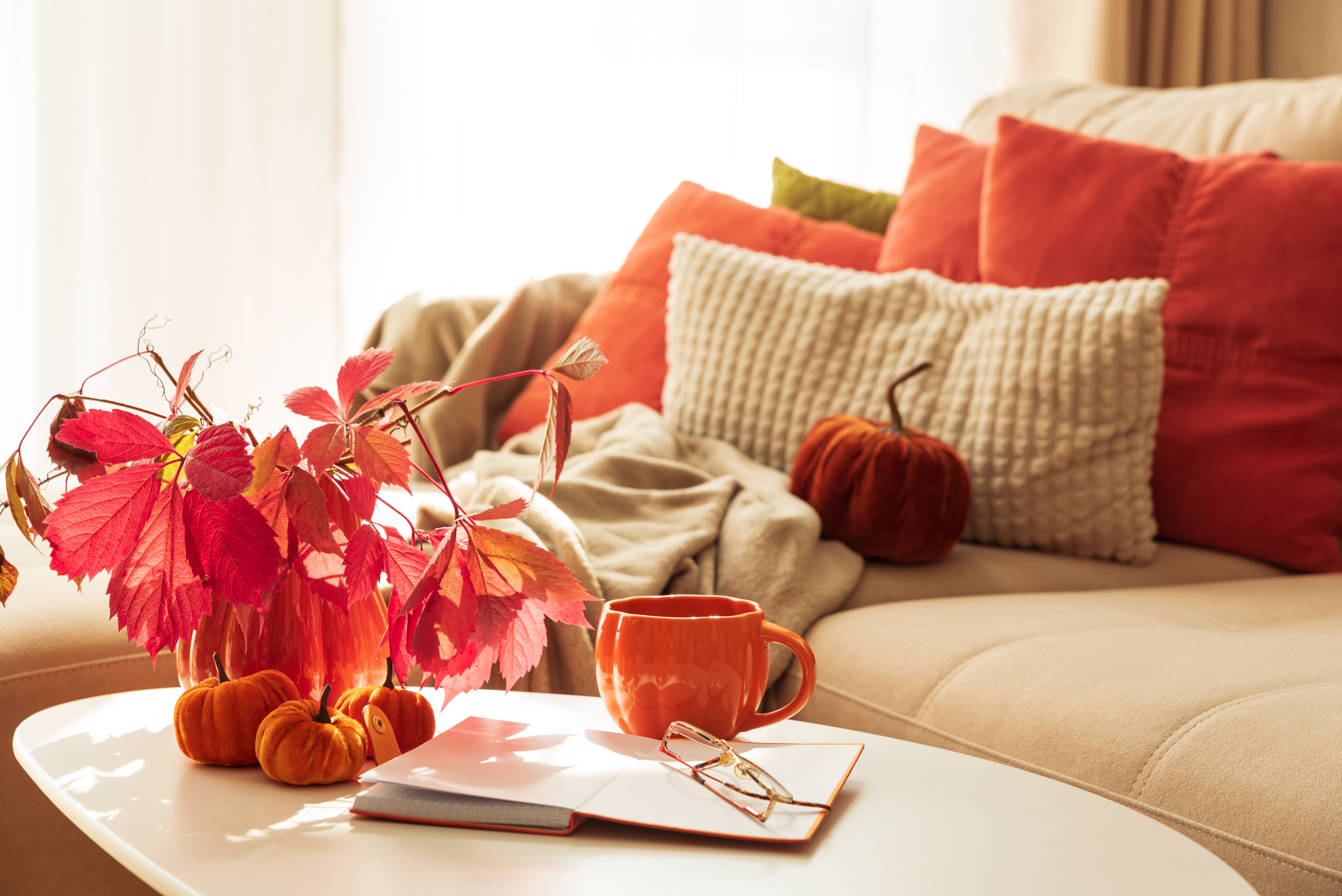 fall home preparation