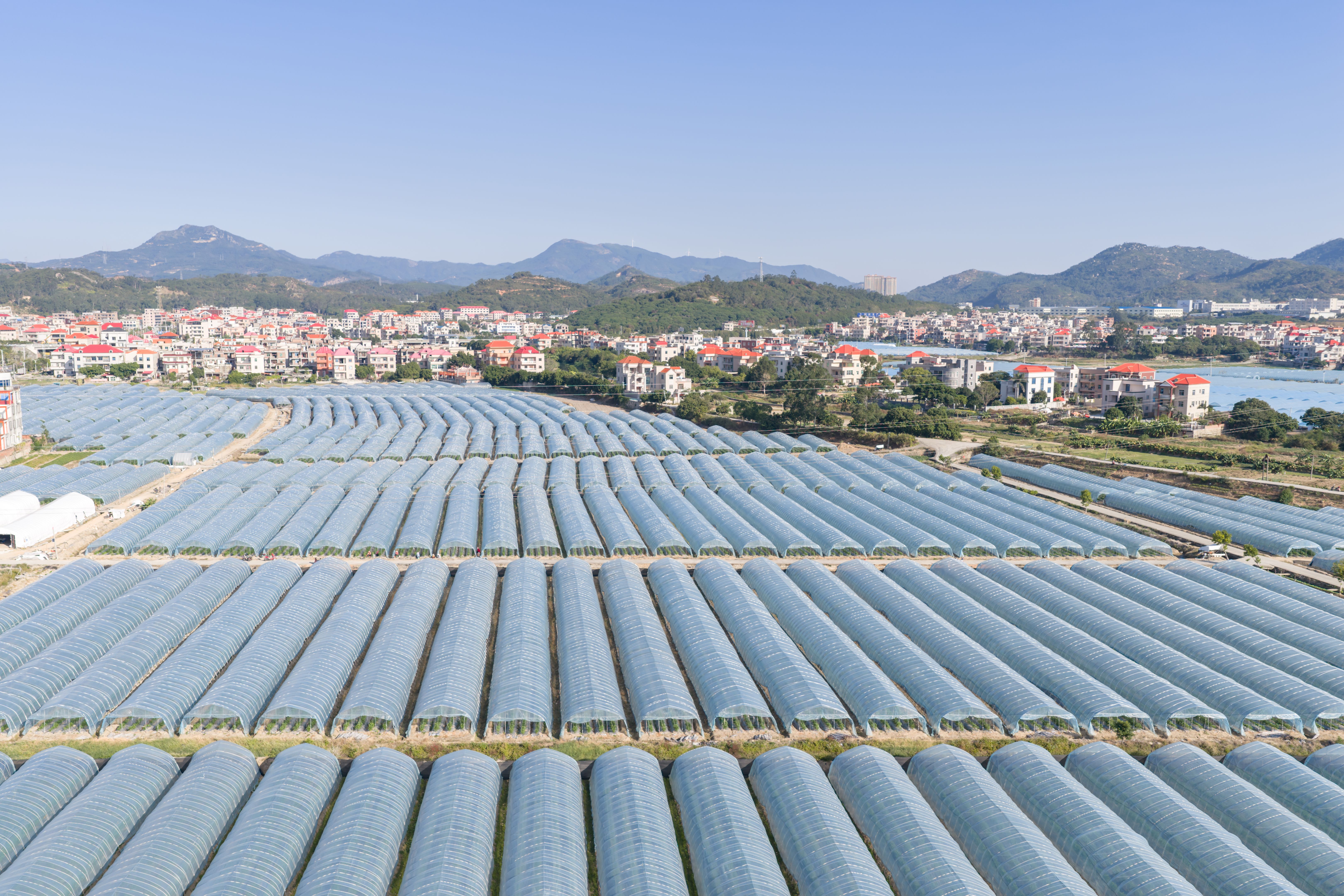 modern agriculture China