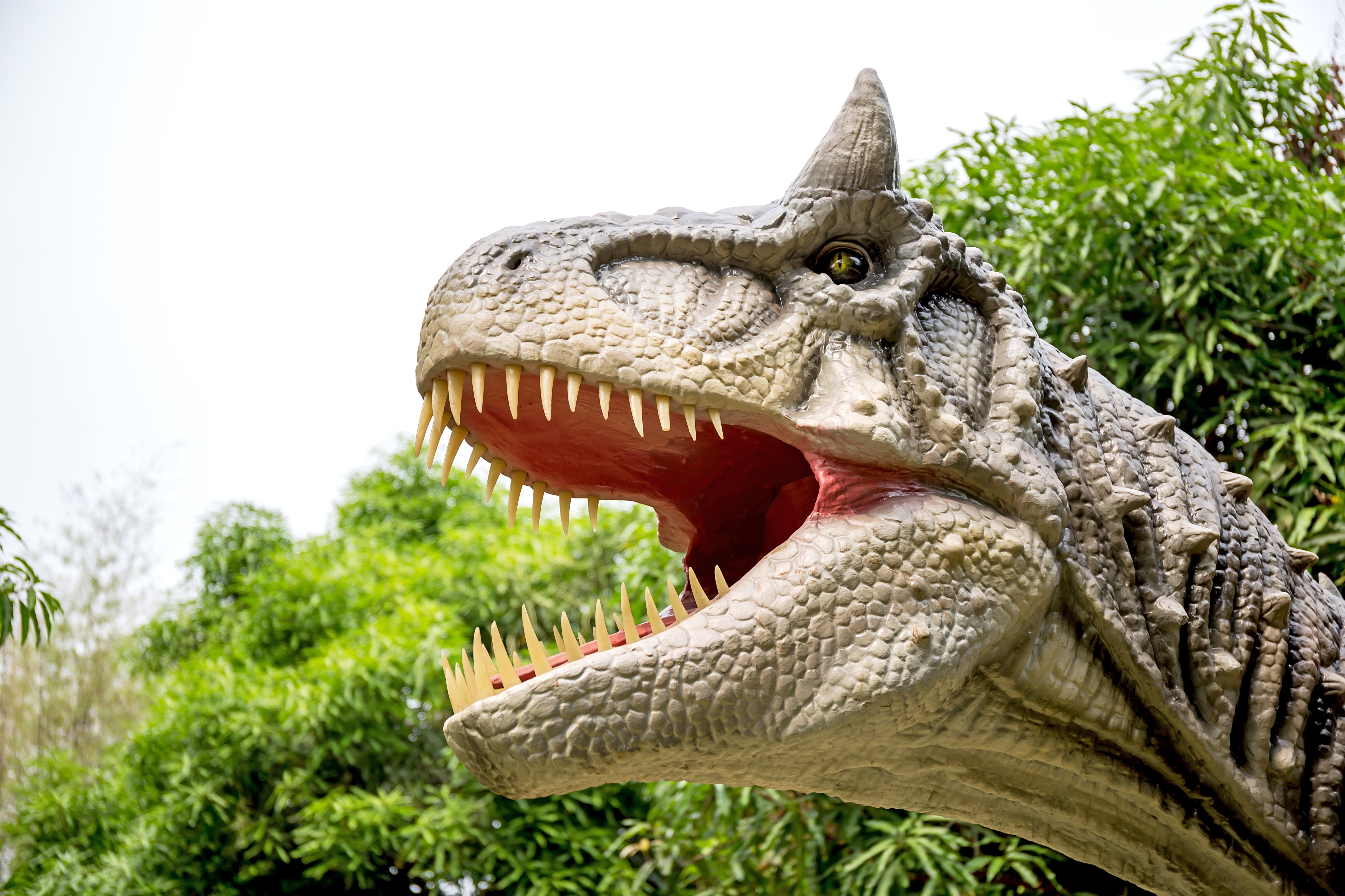 Dinosaur carnotaurus and monster model