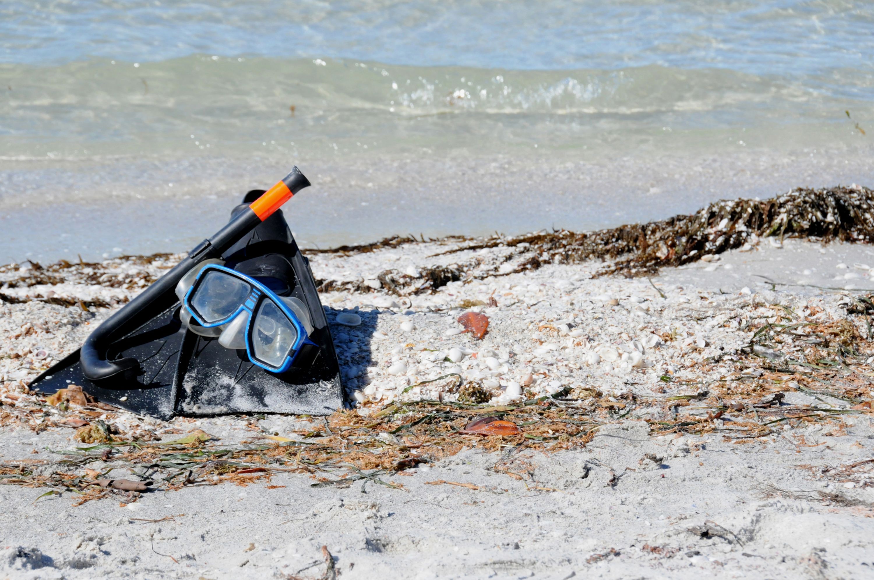 caladesi island snorkeling
