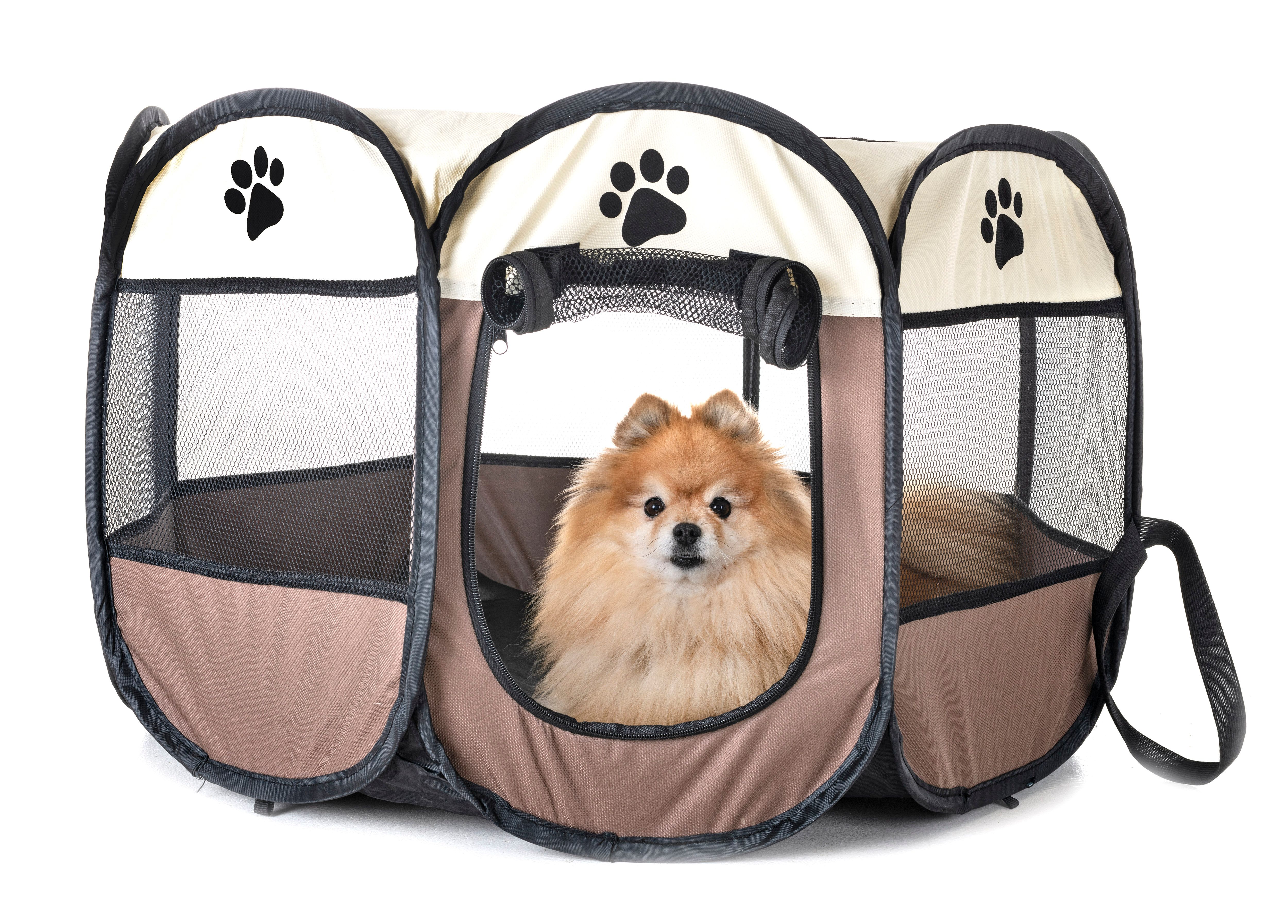 dog playpen