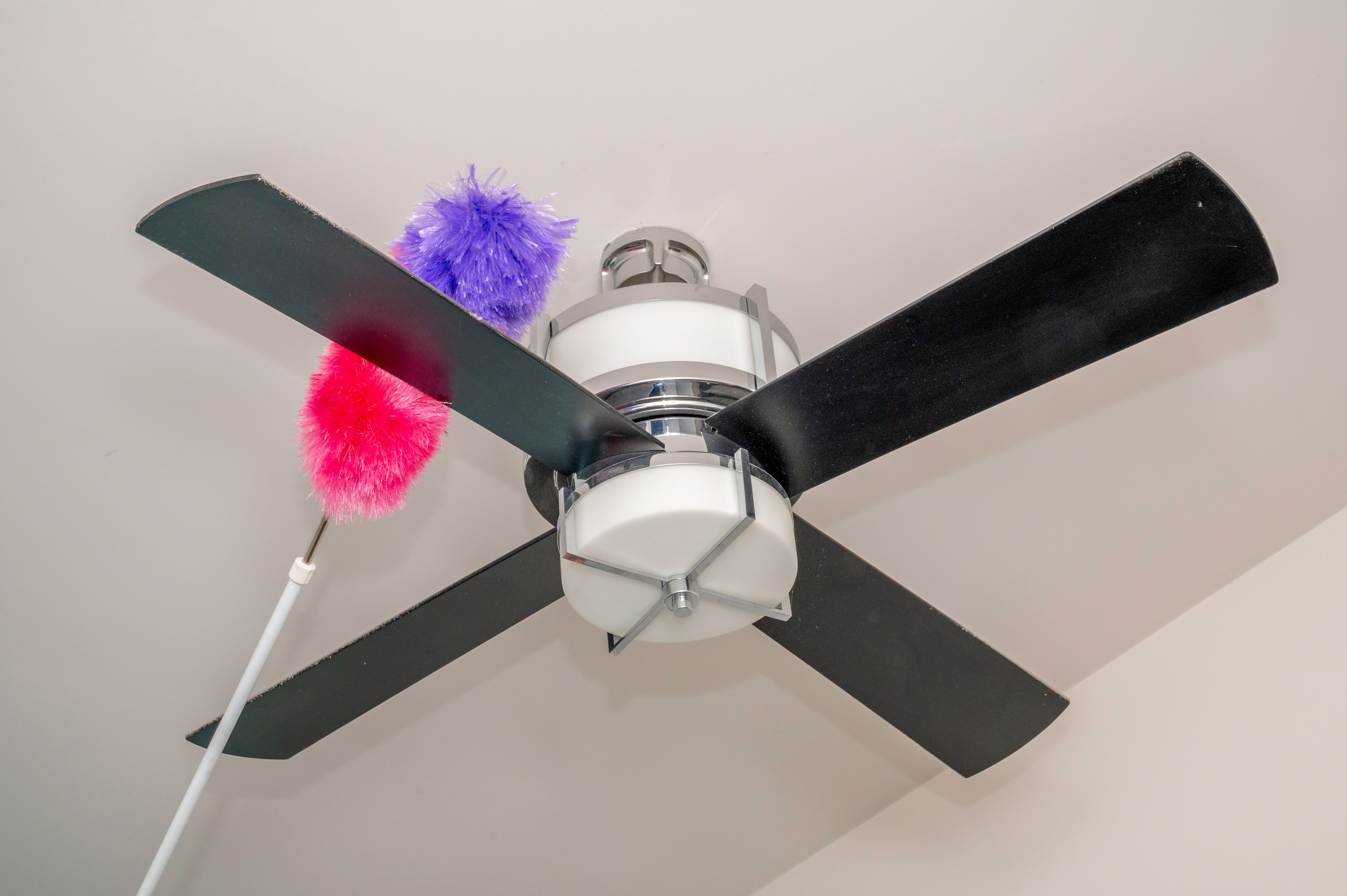 dust ceiling fans