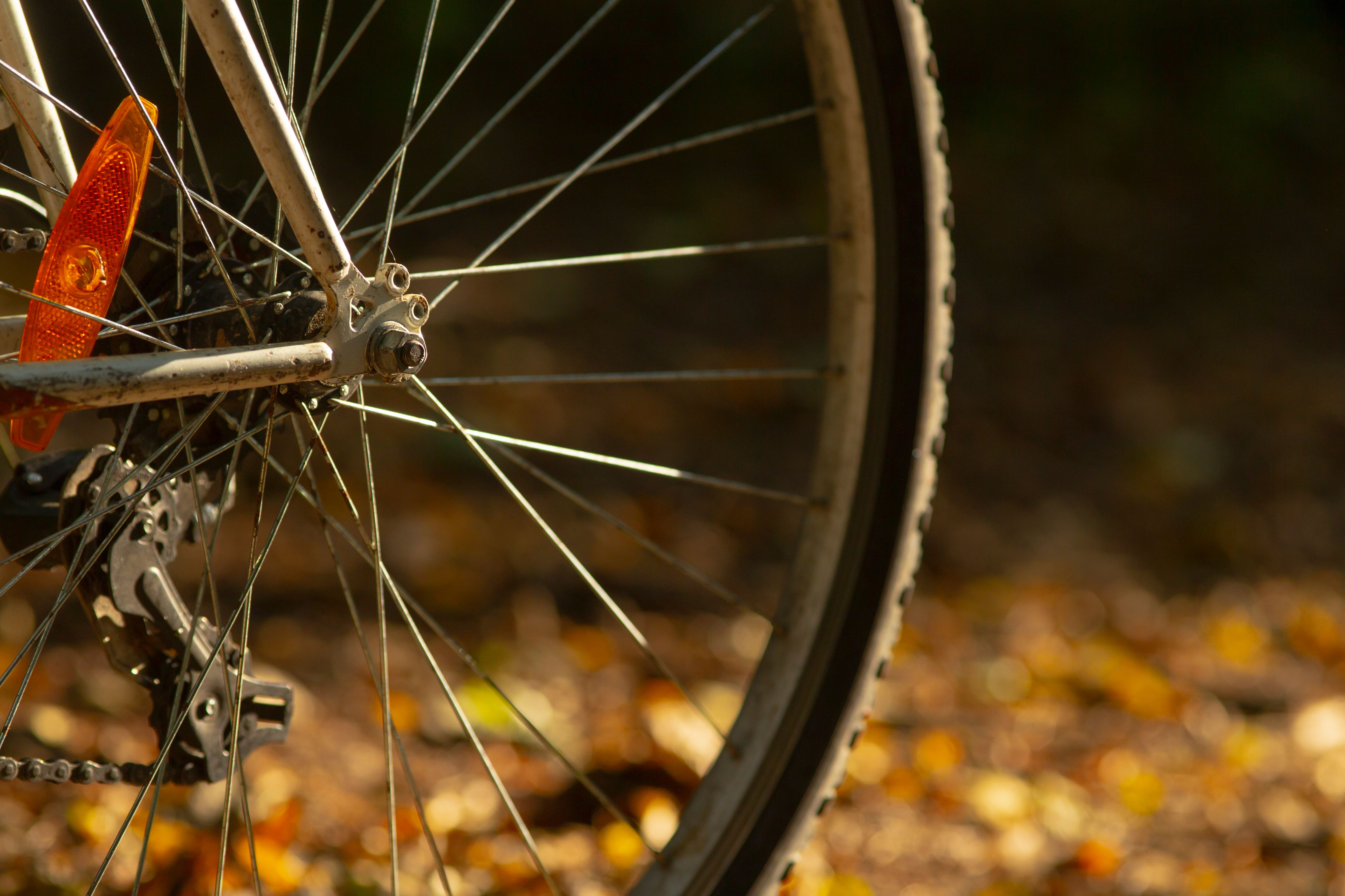 budget friendly bicycle