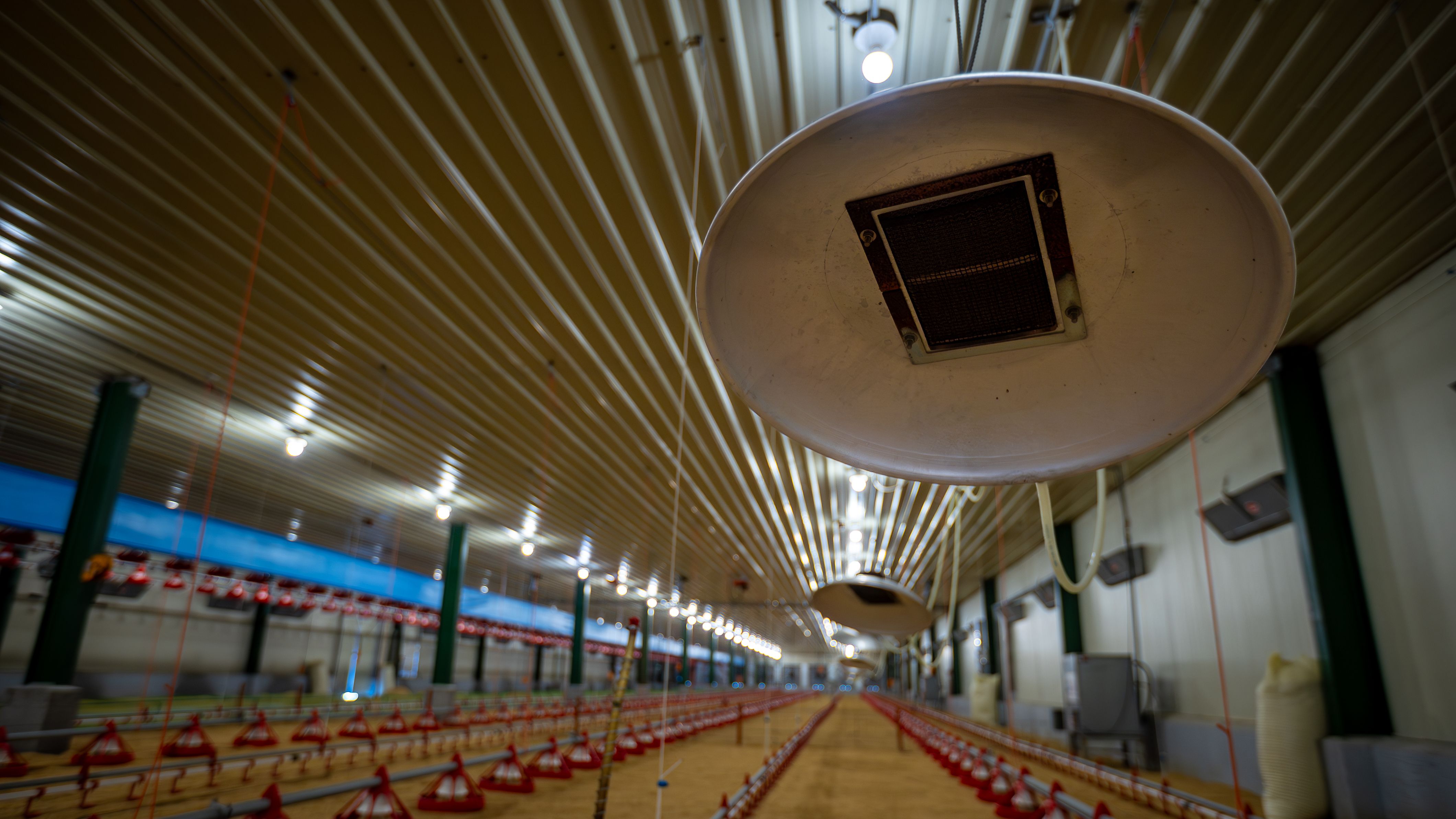 barn ventilation lighting