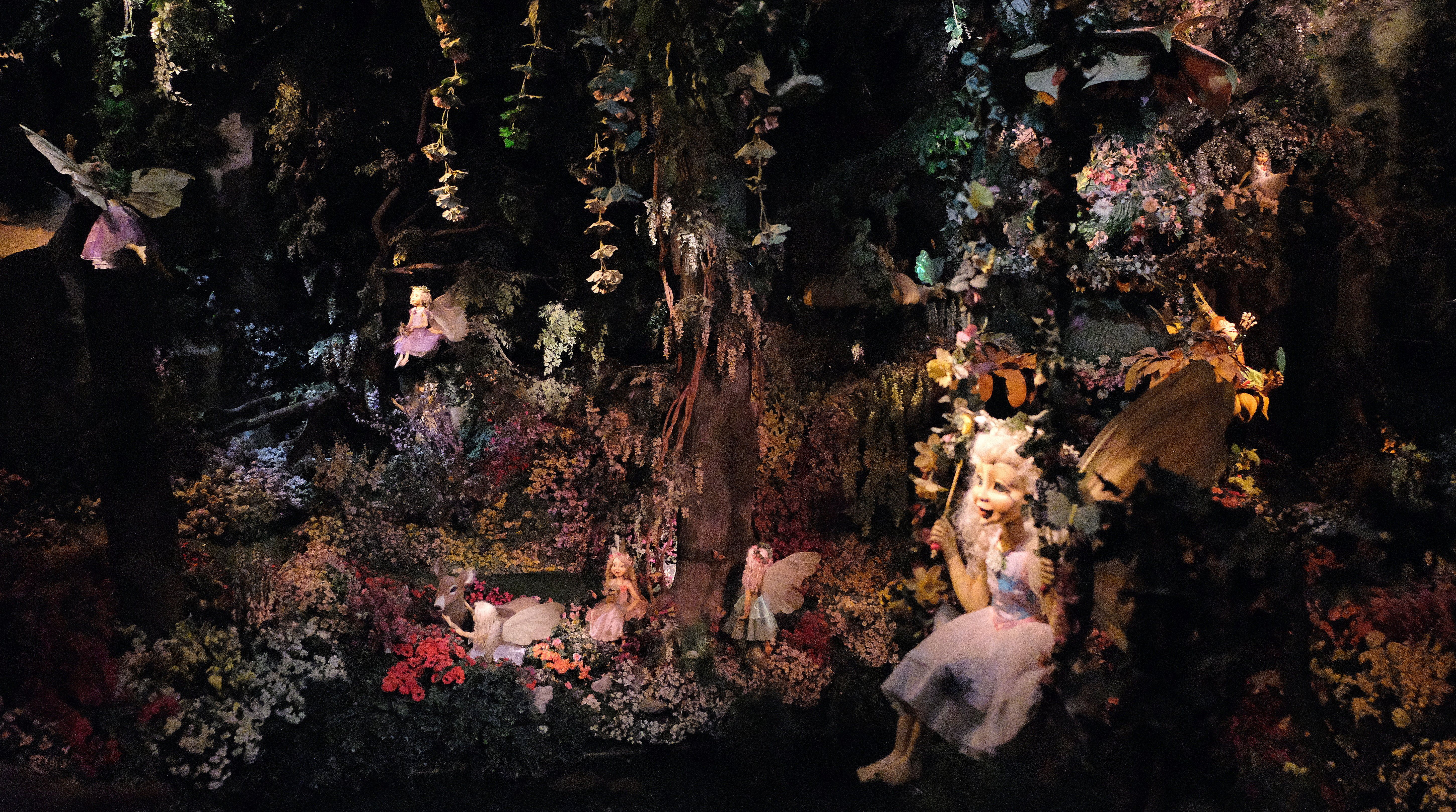 exclusive disney experience