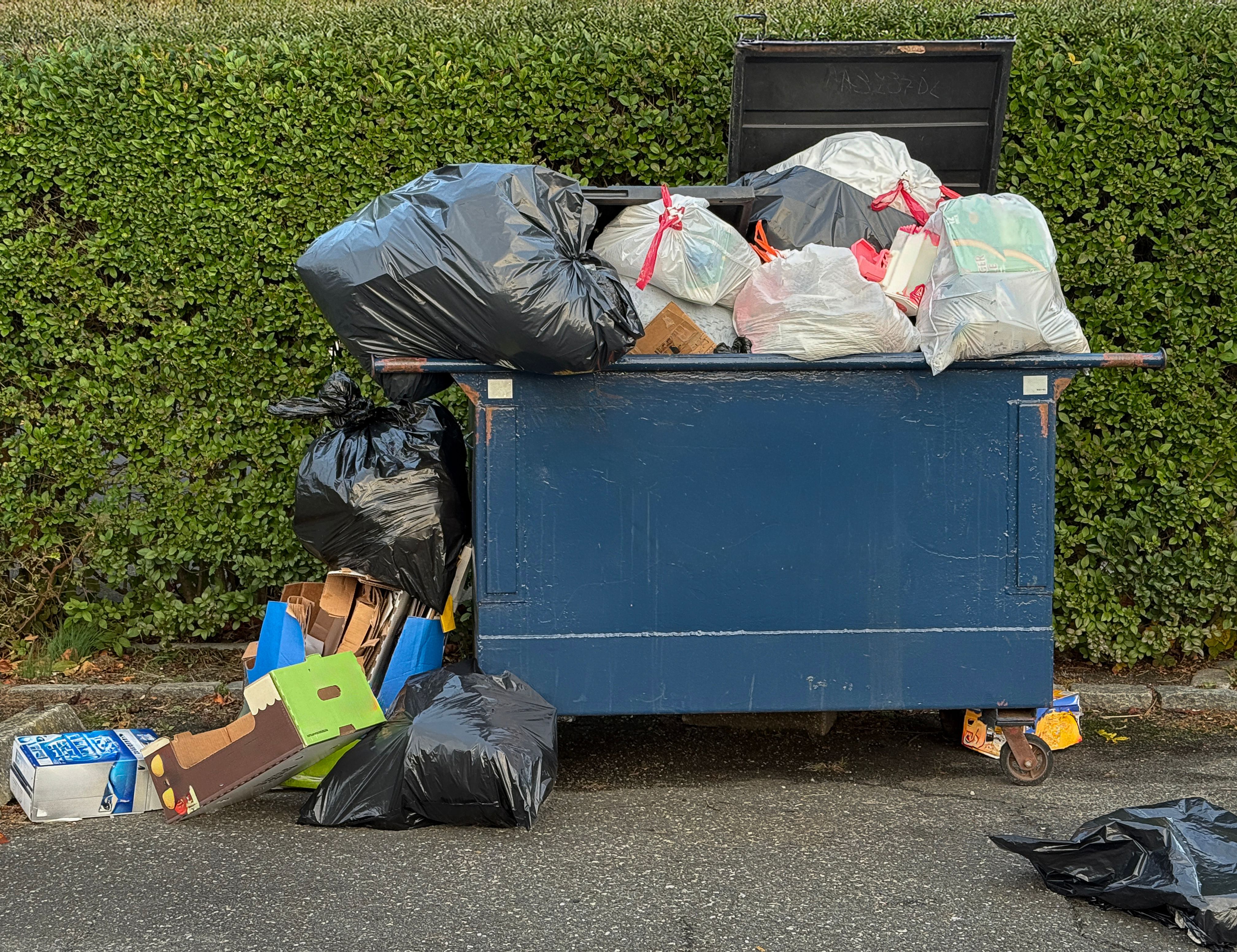 professional junk removal