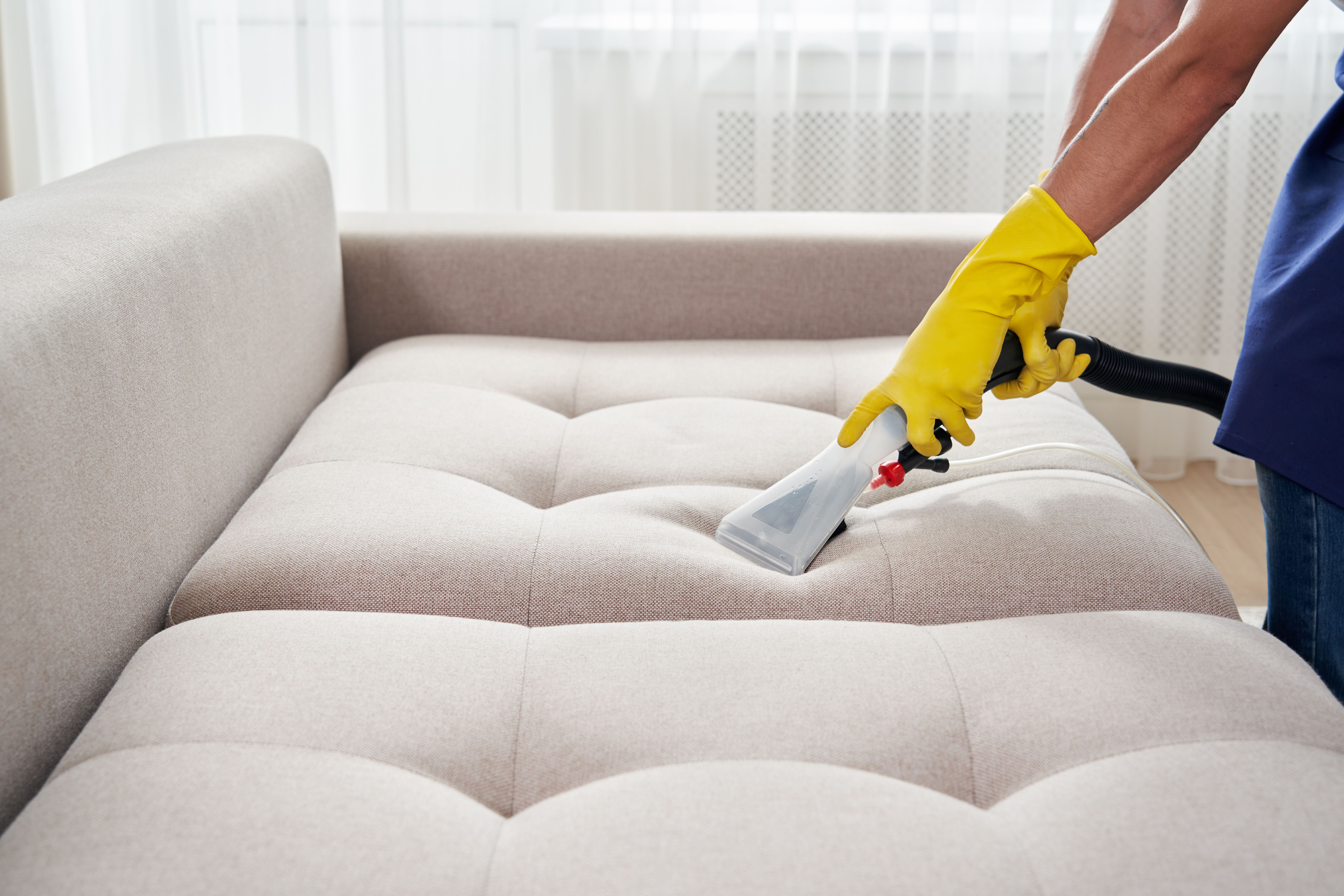 sofa cleaning