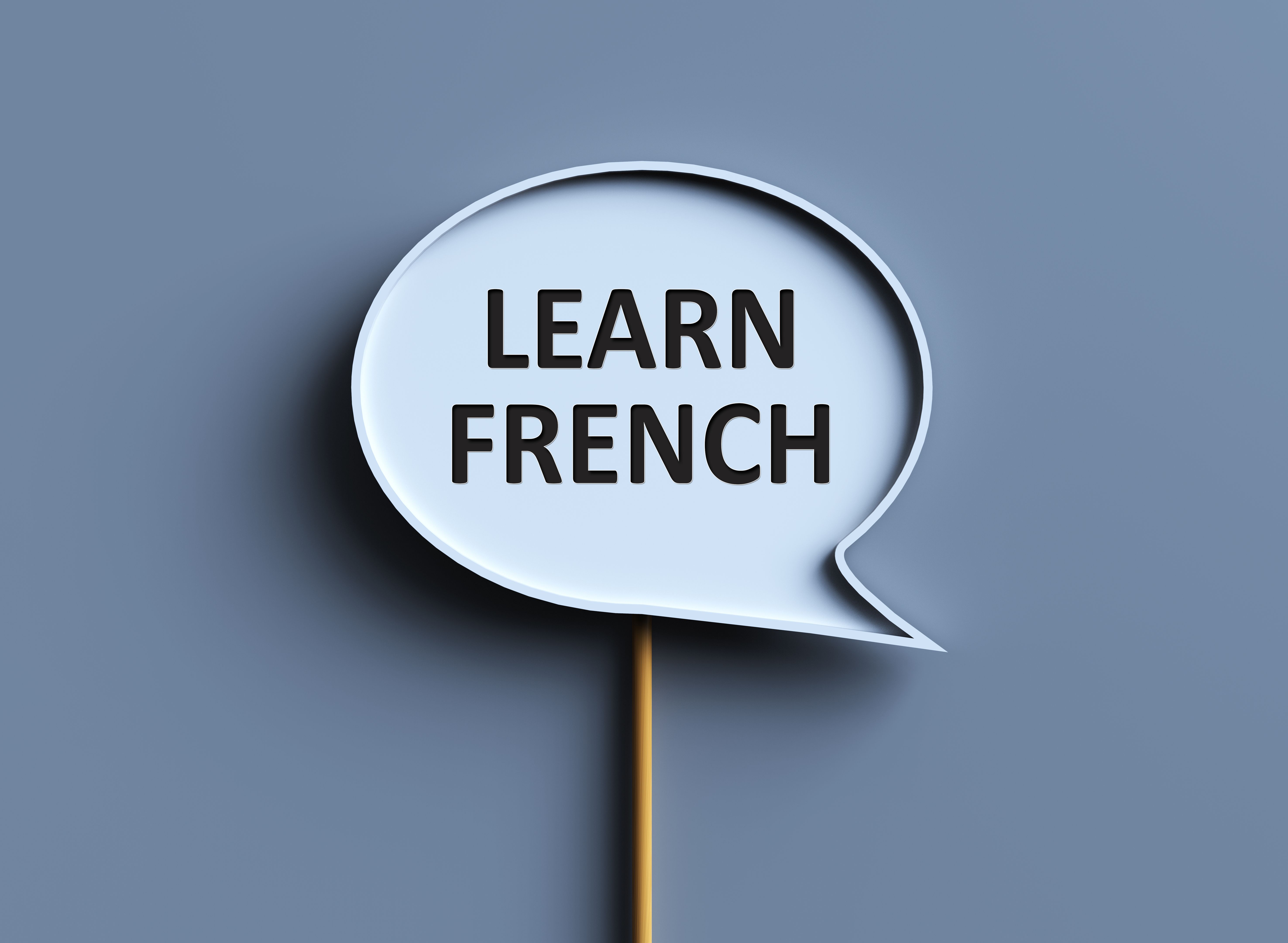 online french course