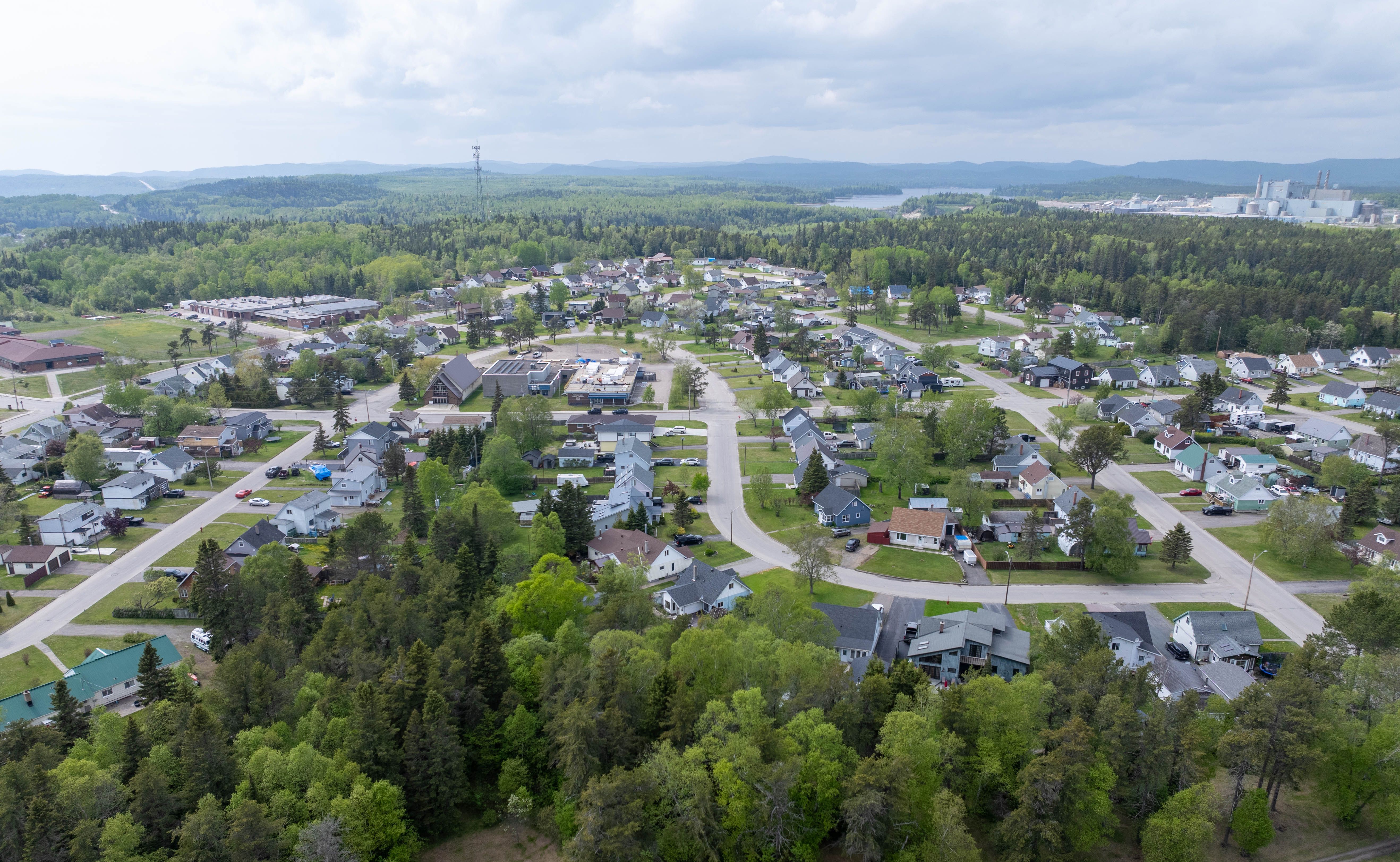 local paper industry