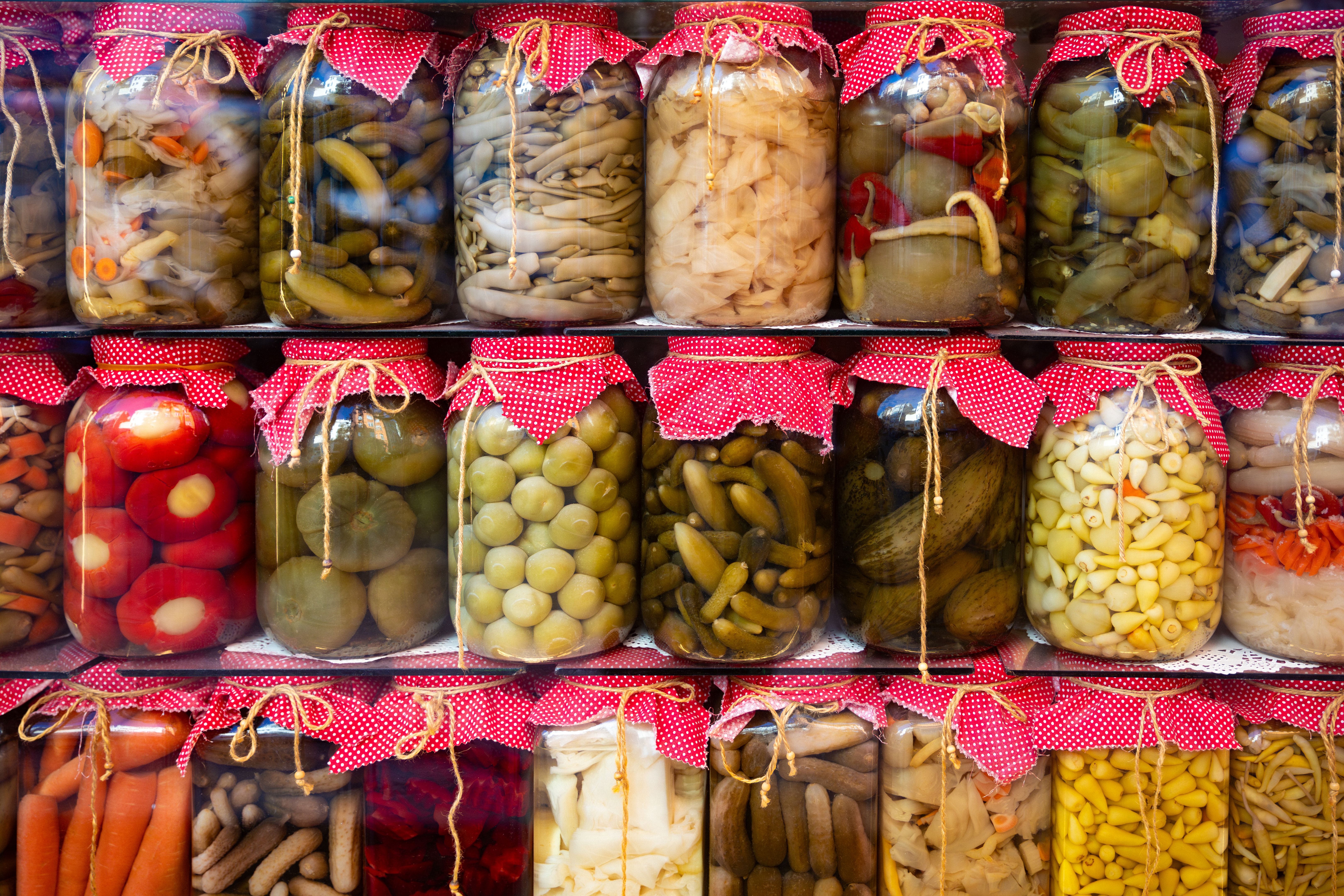 fermented foods