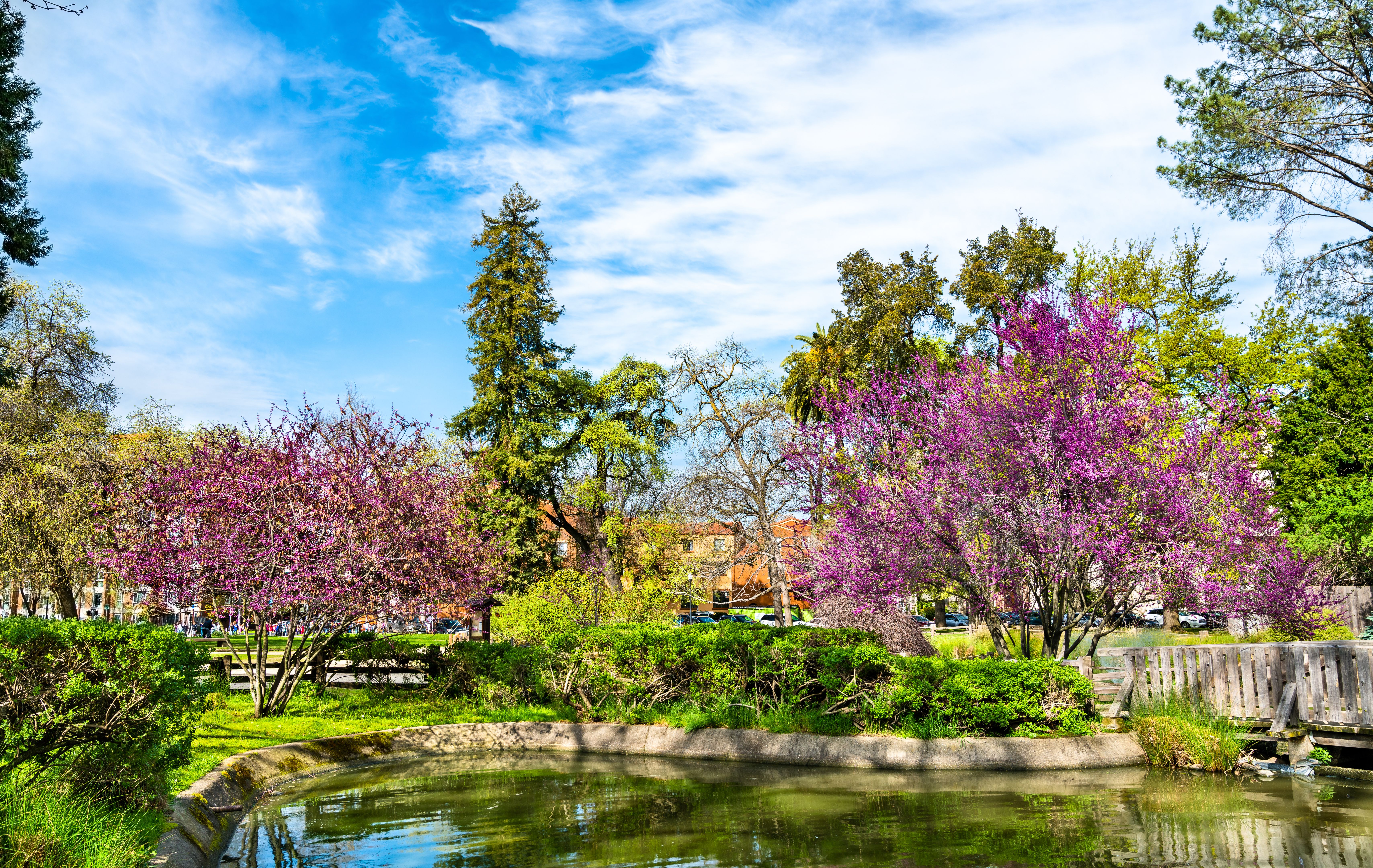 sacramento park garden