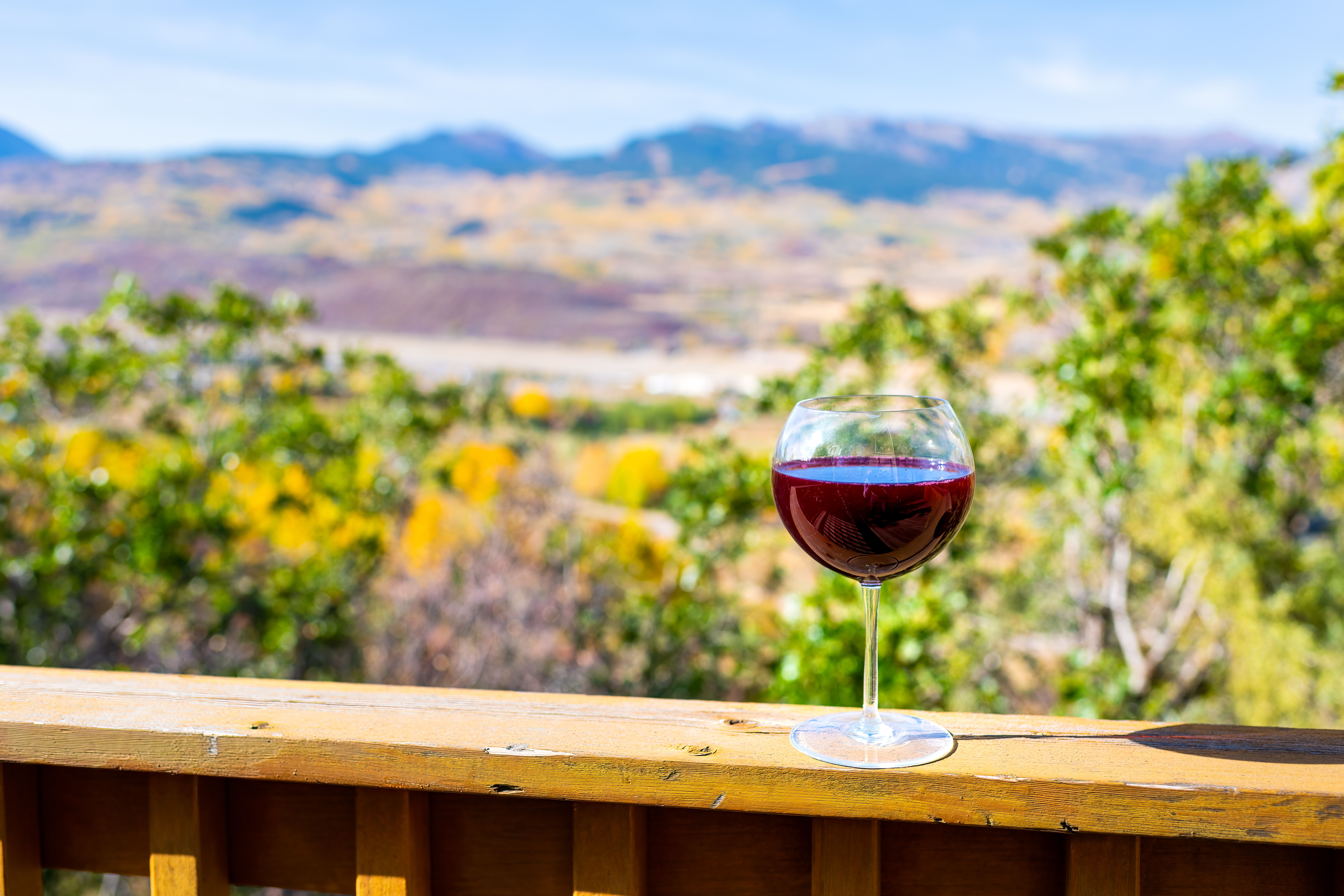 aspen food wine