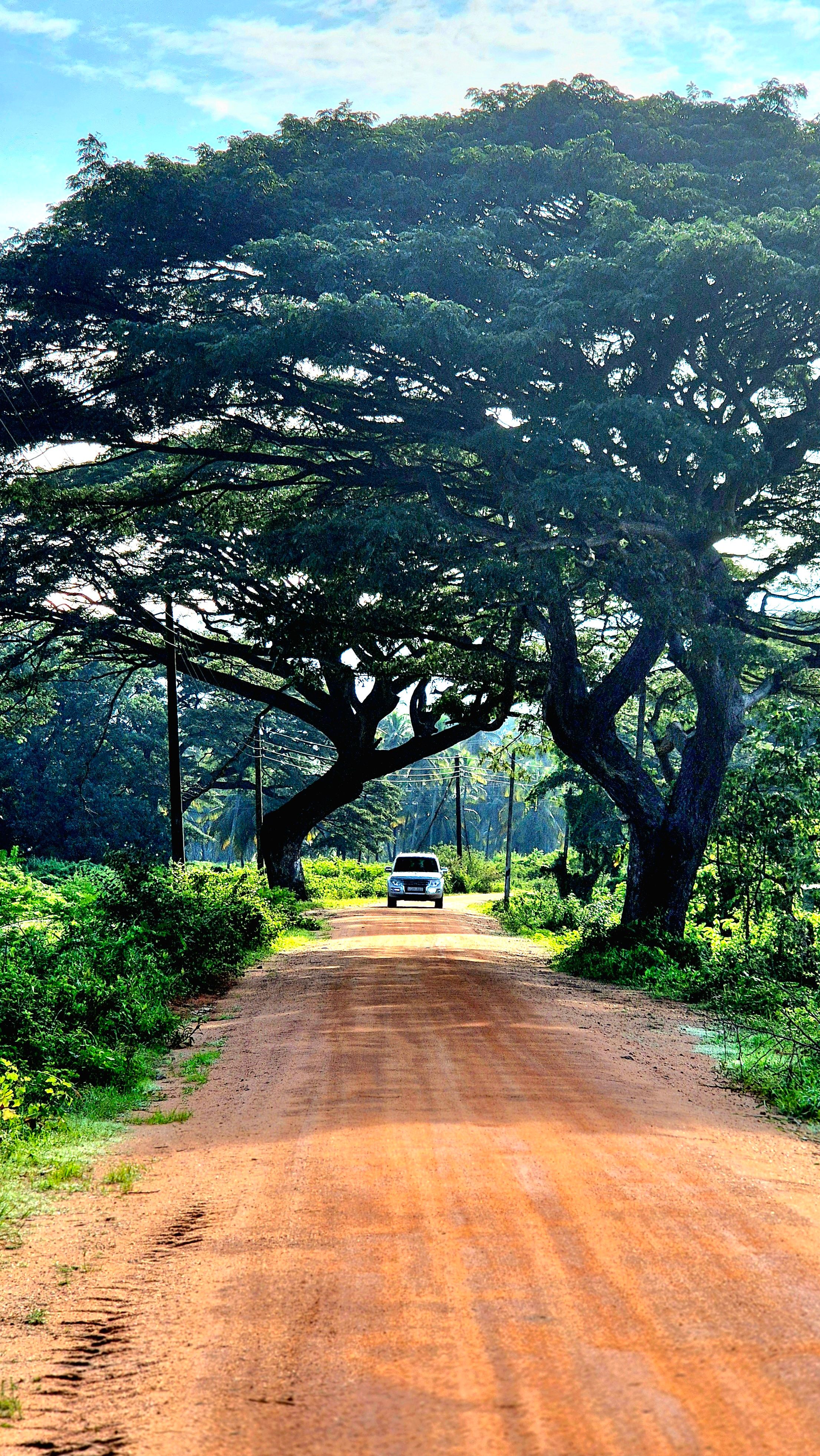 kurunegala landscape