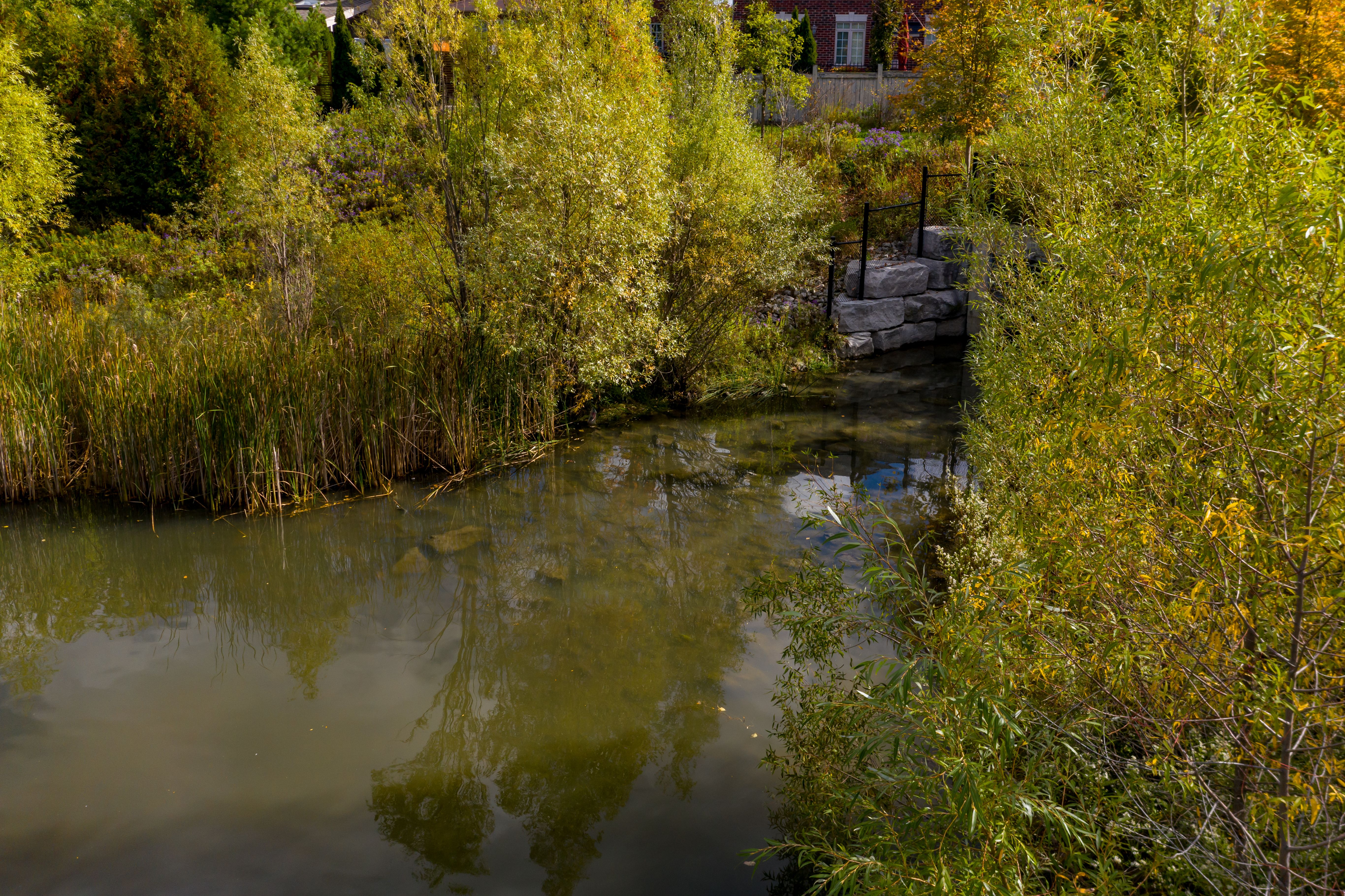 dyer indiana real estate