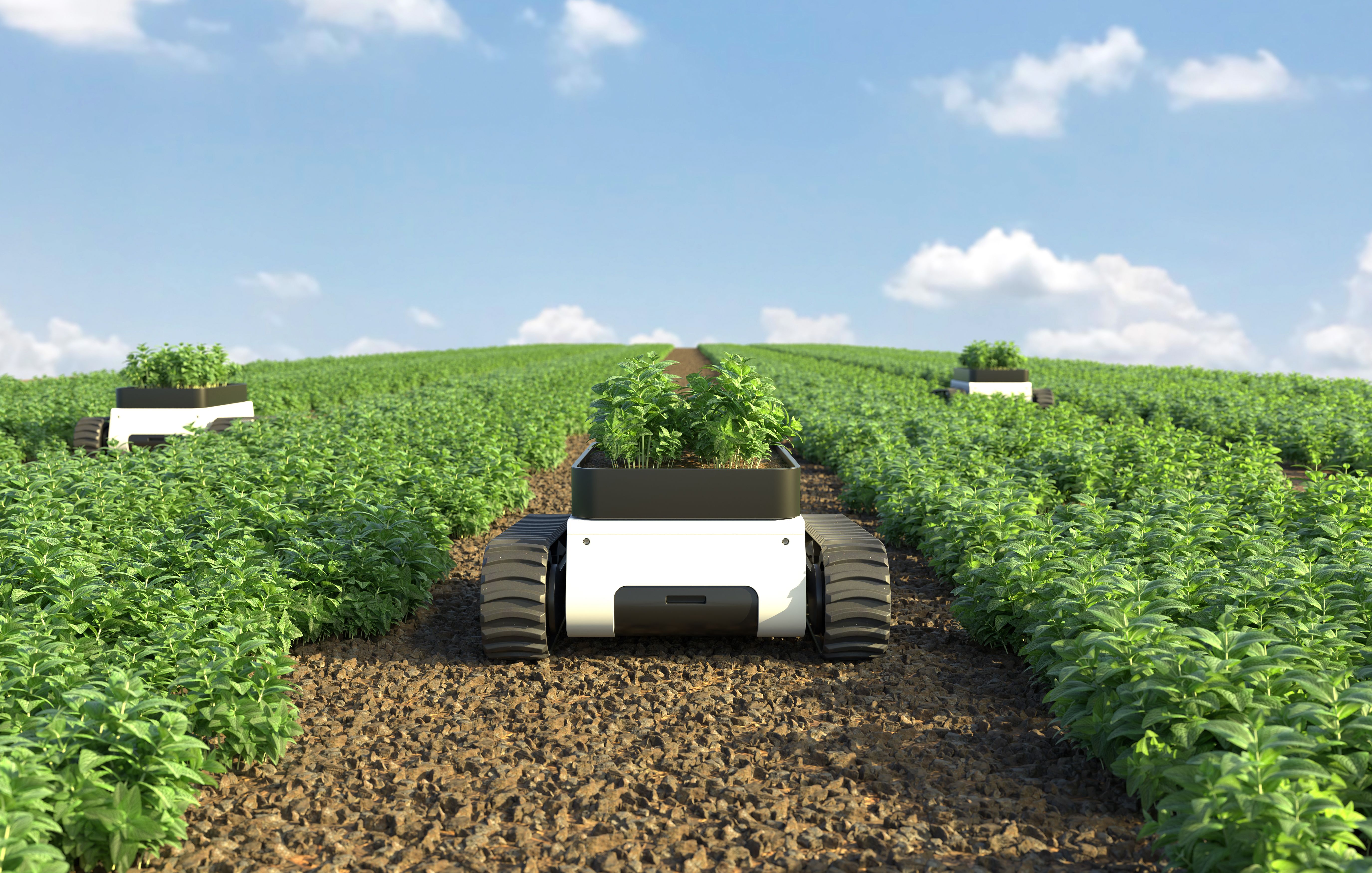 Precision Farming with Robotics: The Future of Agriculture