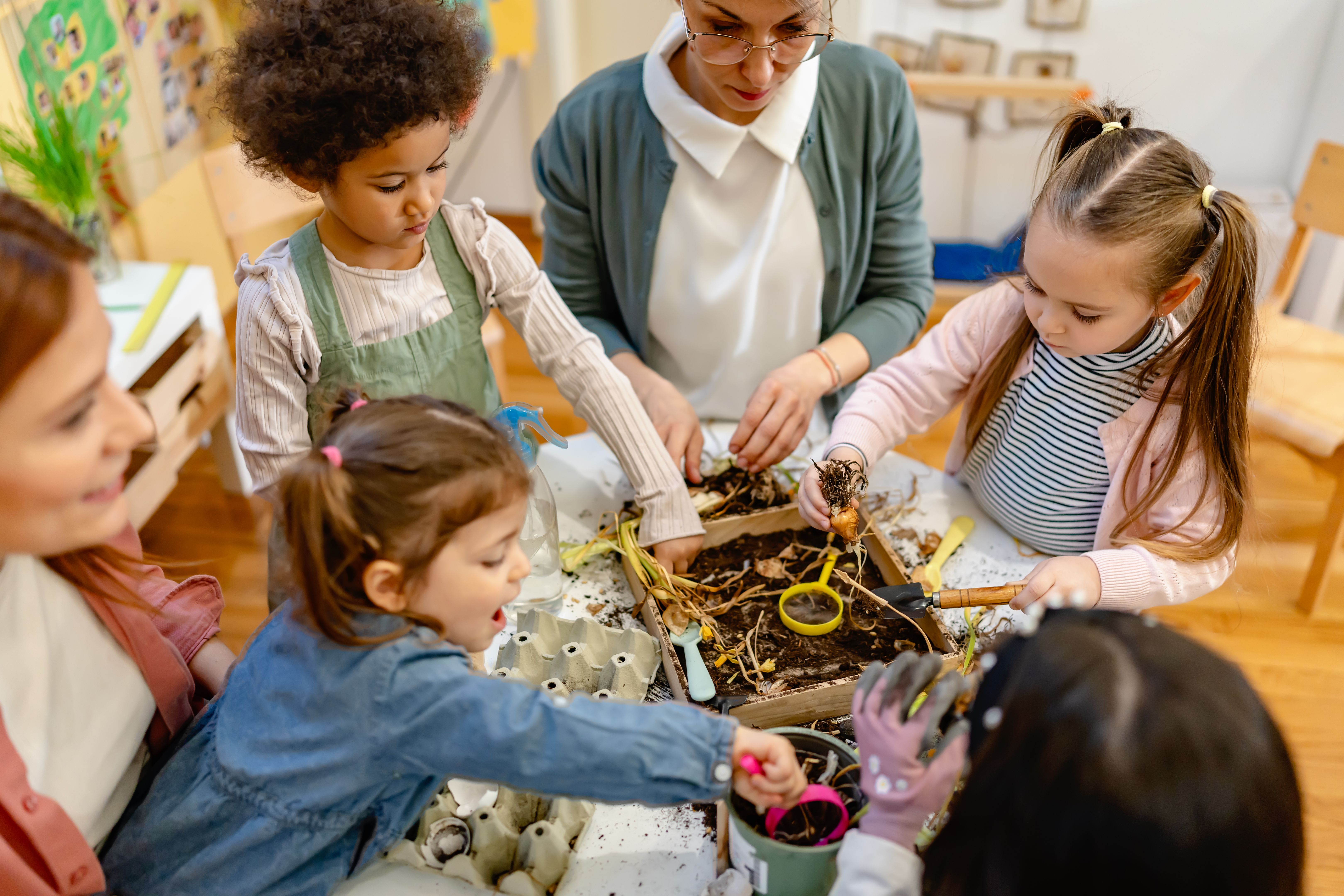 classroom garden