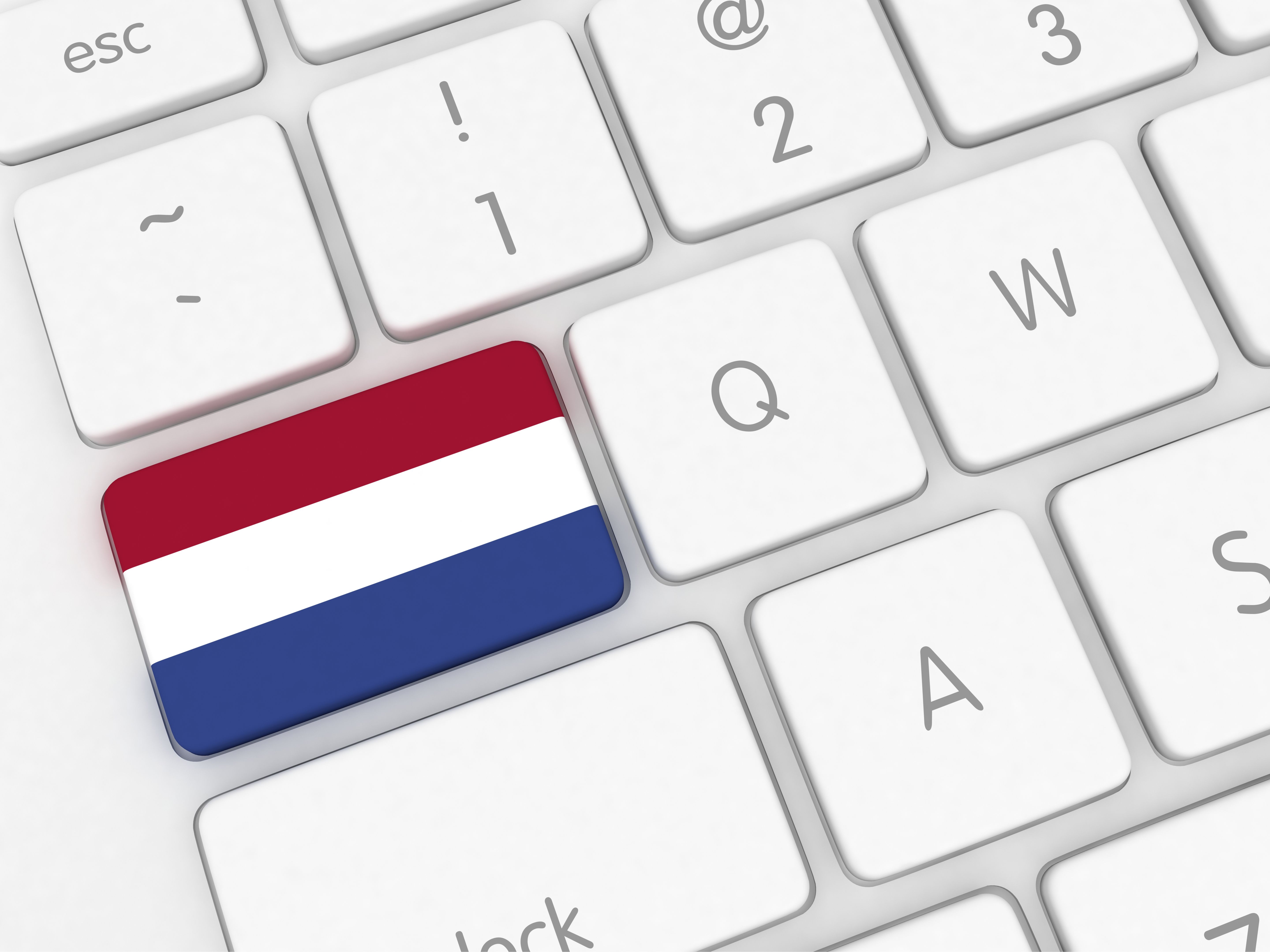 dutch internet competition
