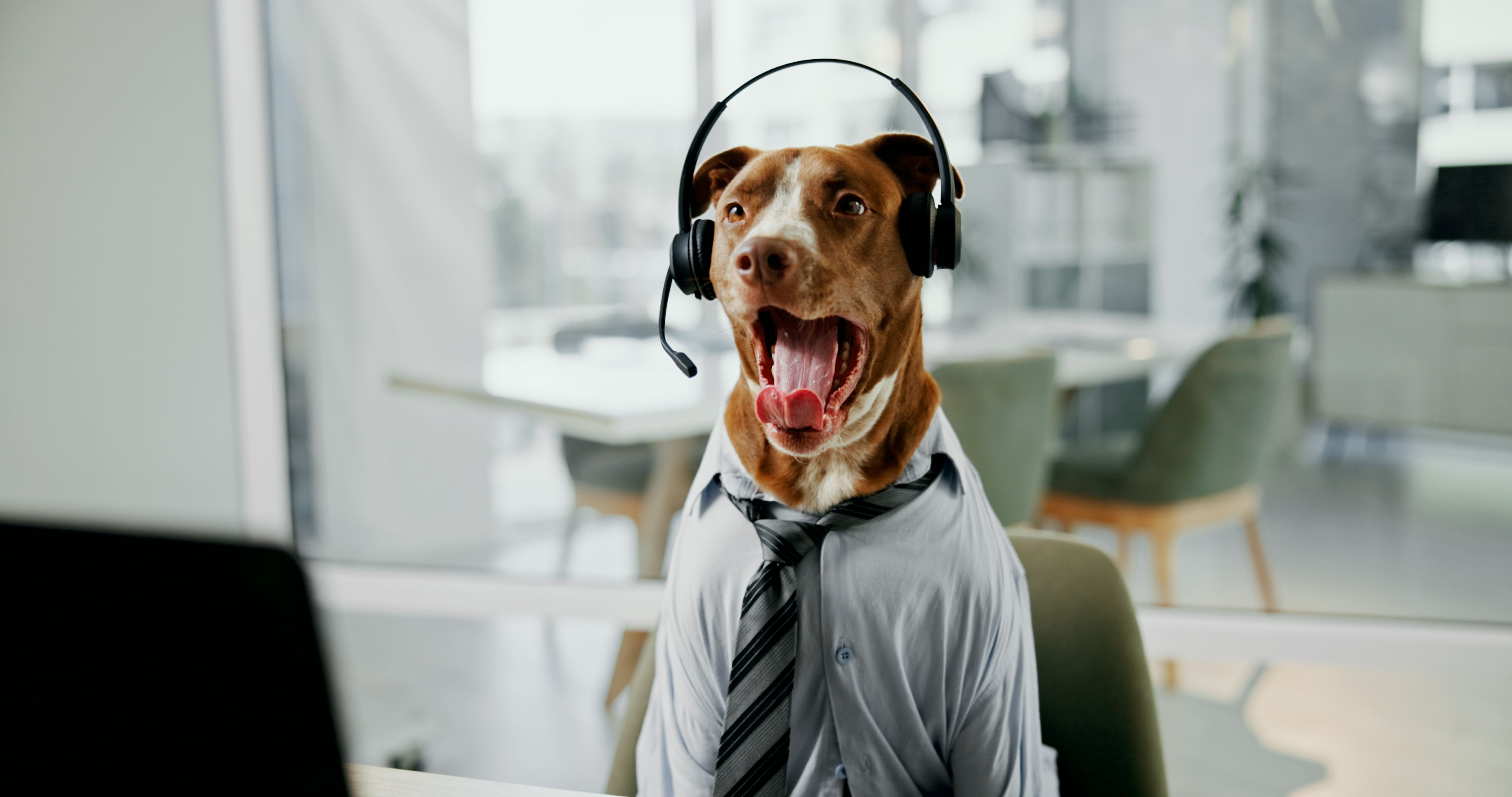 customer support pets