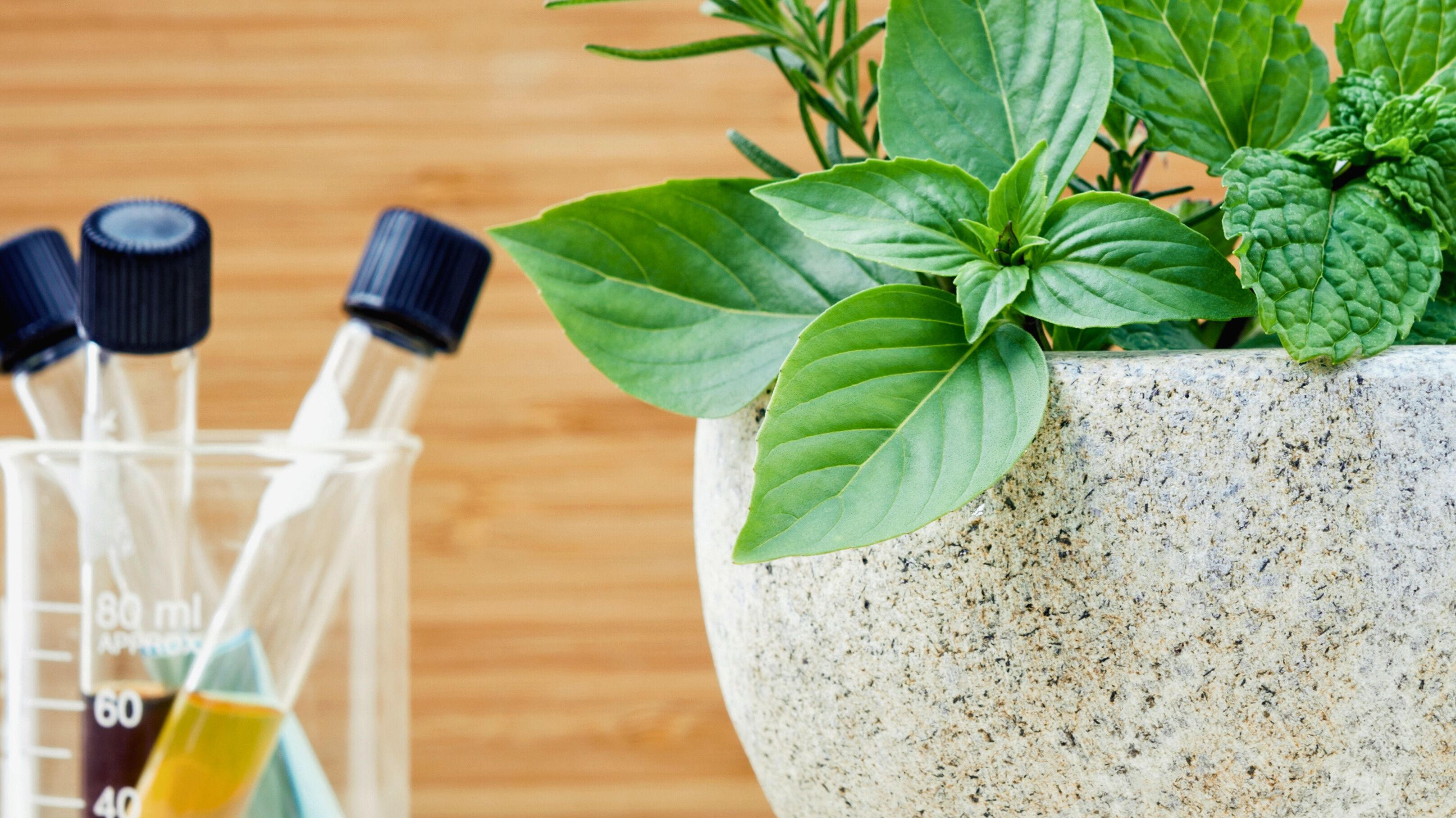 natural flea remedies