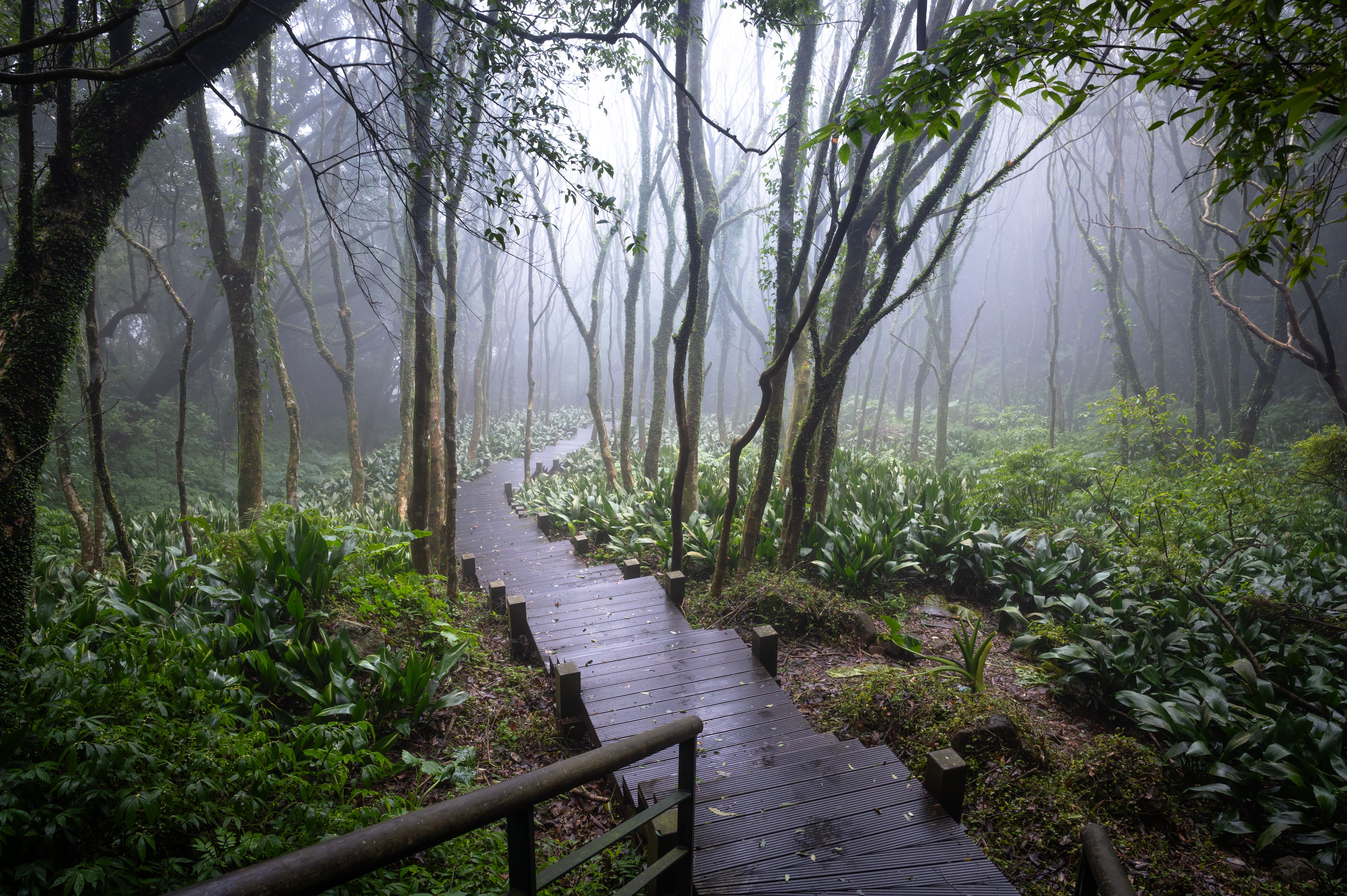 national park