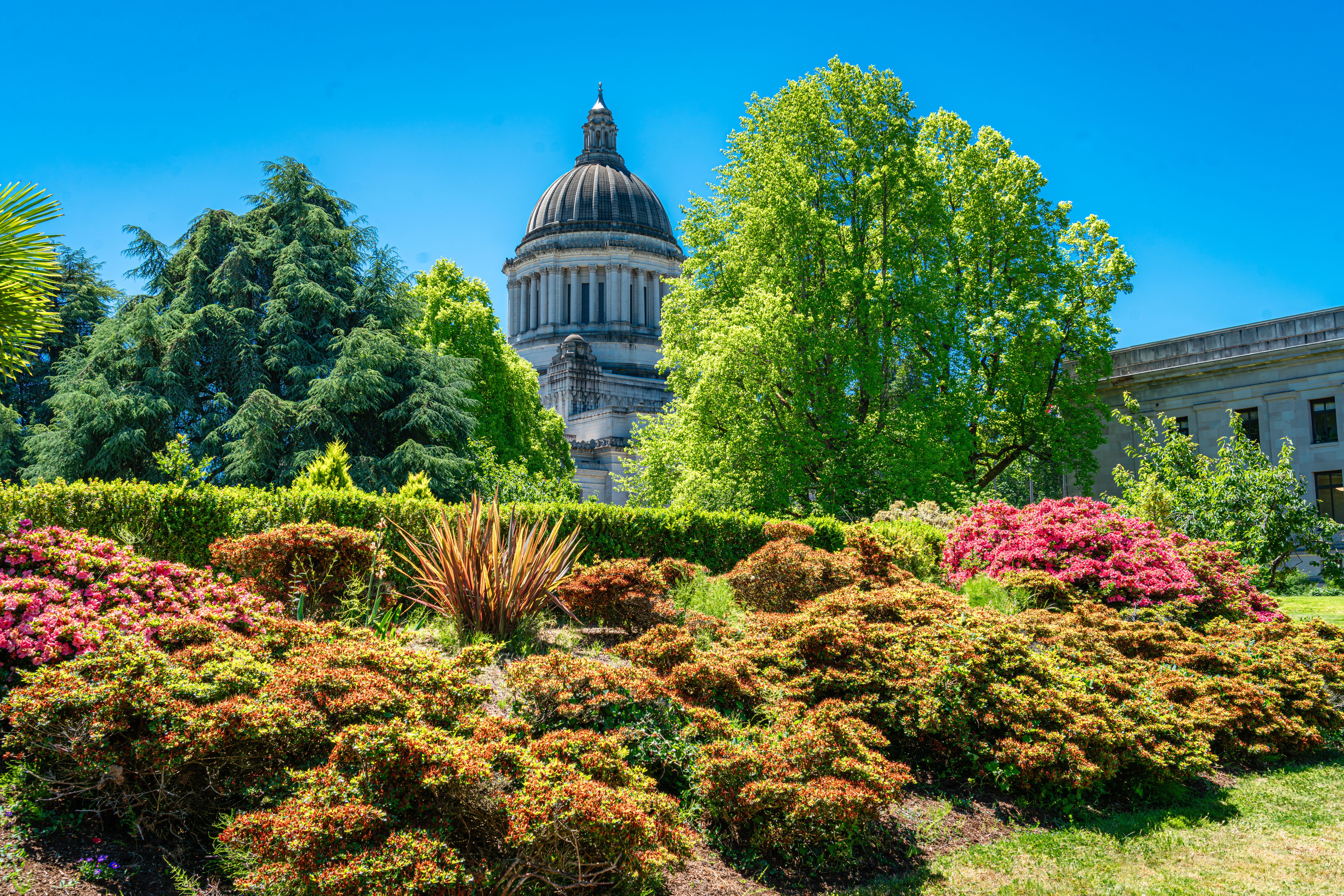 capitol park flowers