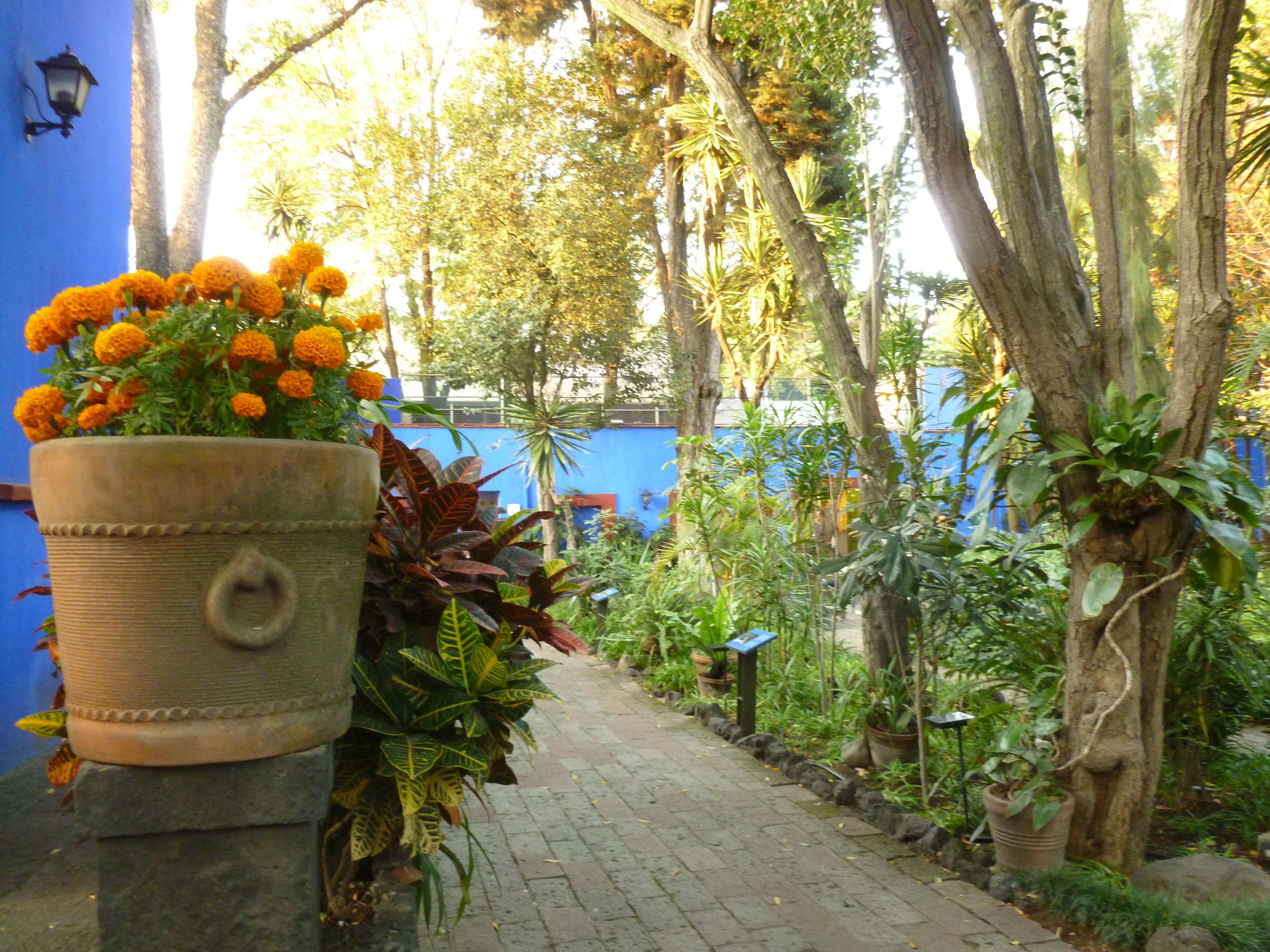 frida kahlo museum