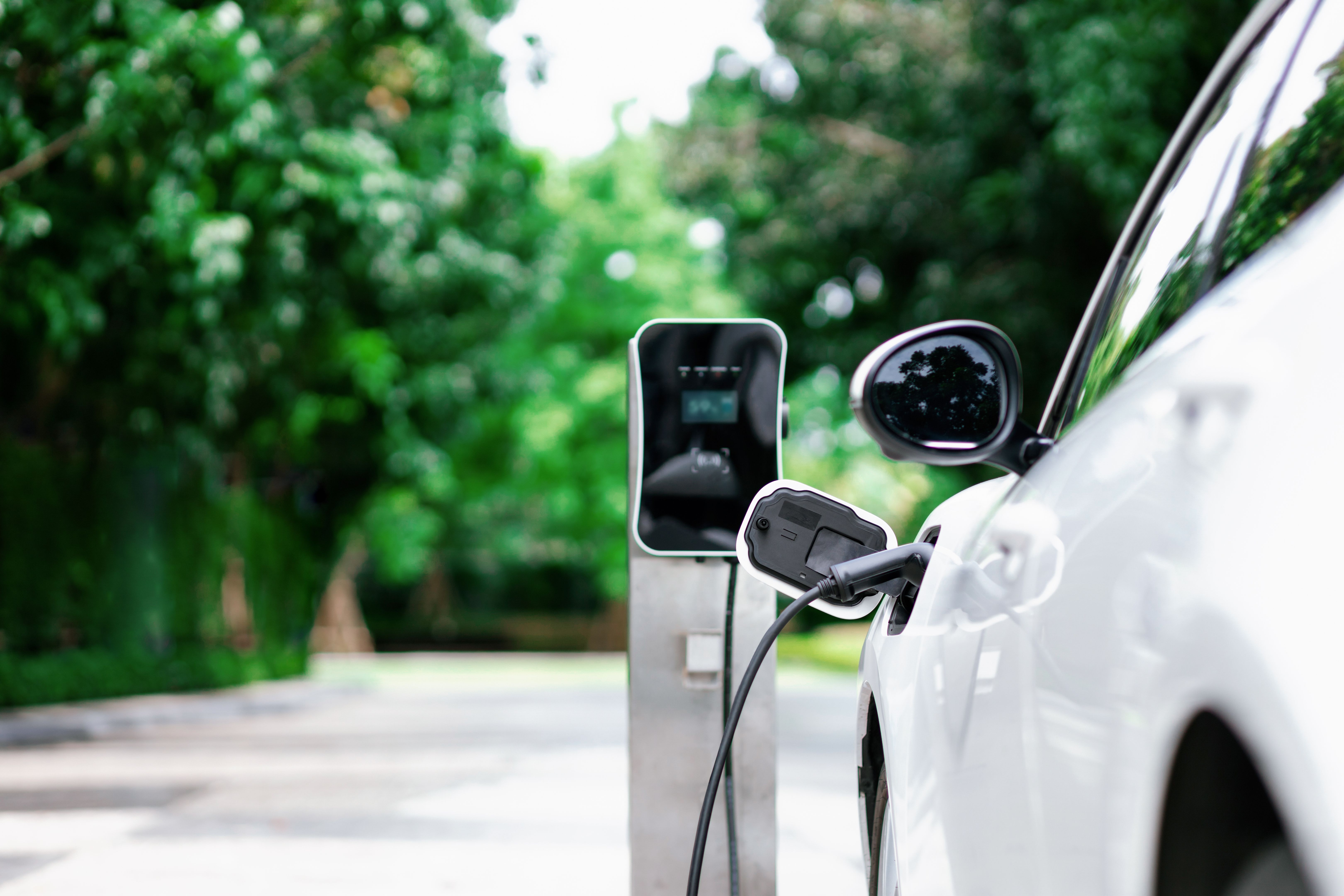 eco-friendly vehicles