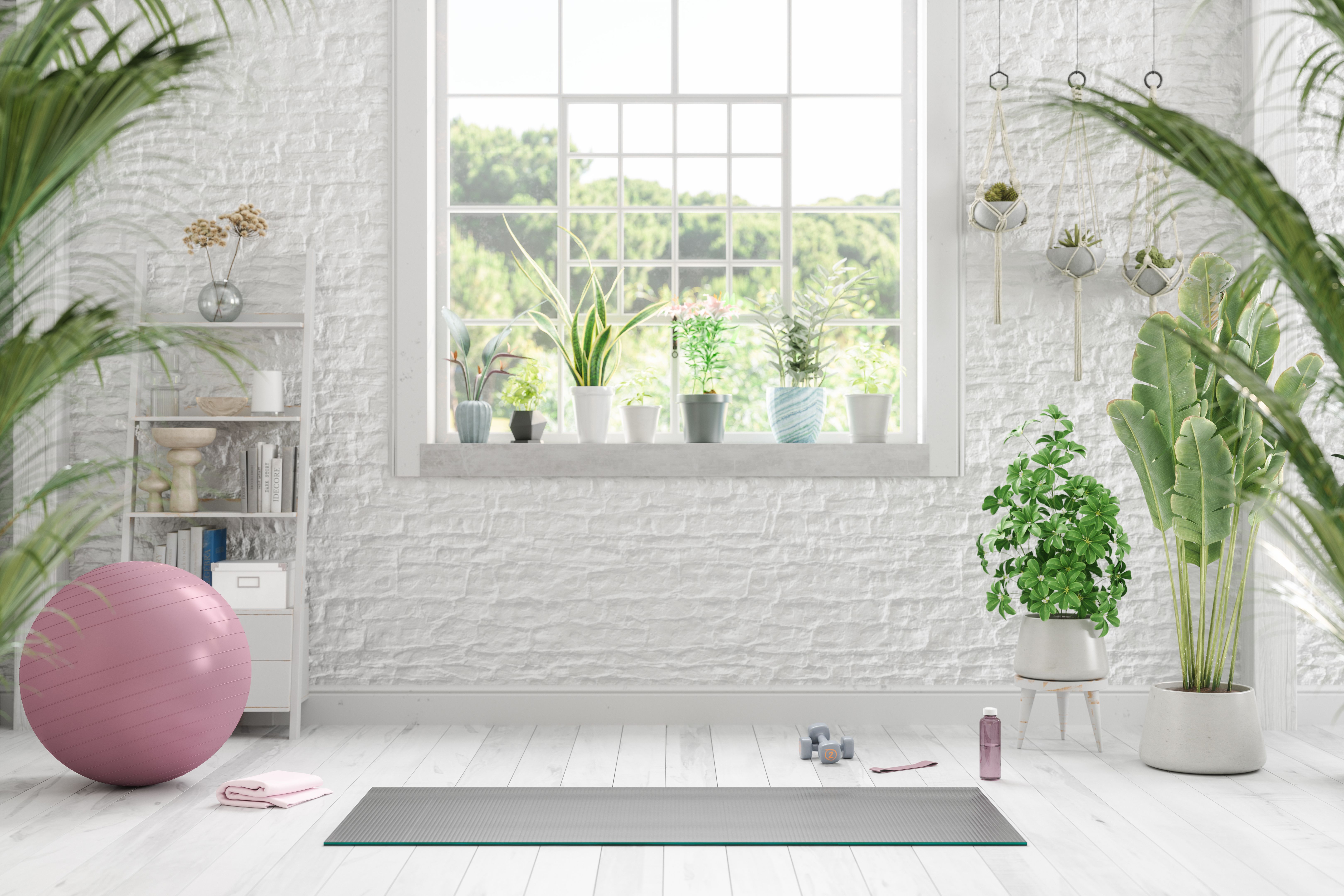 sustainable gym