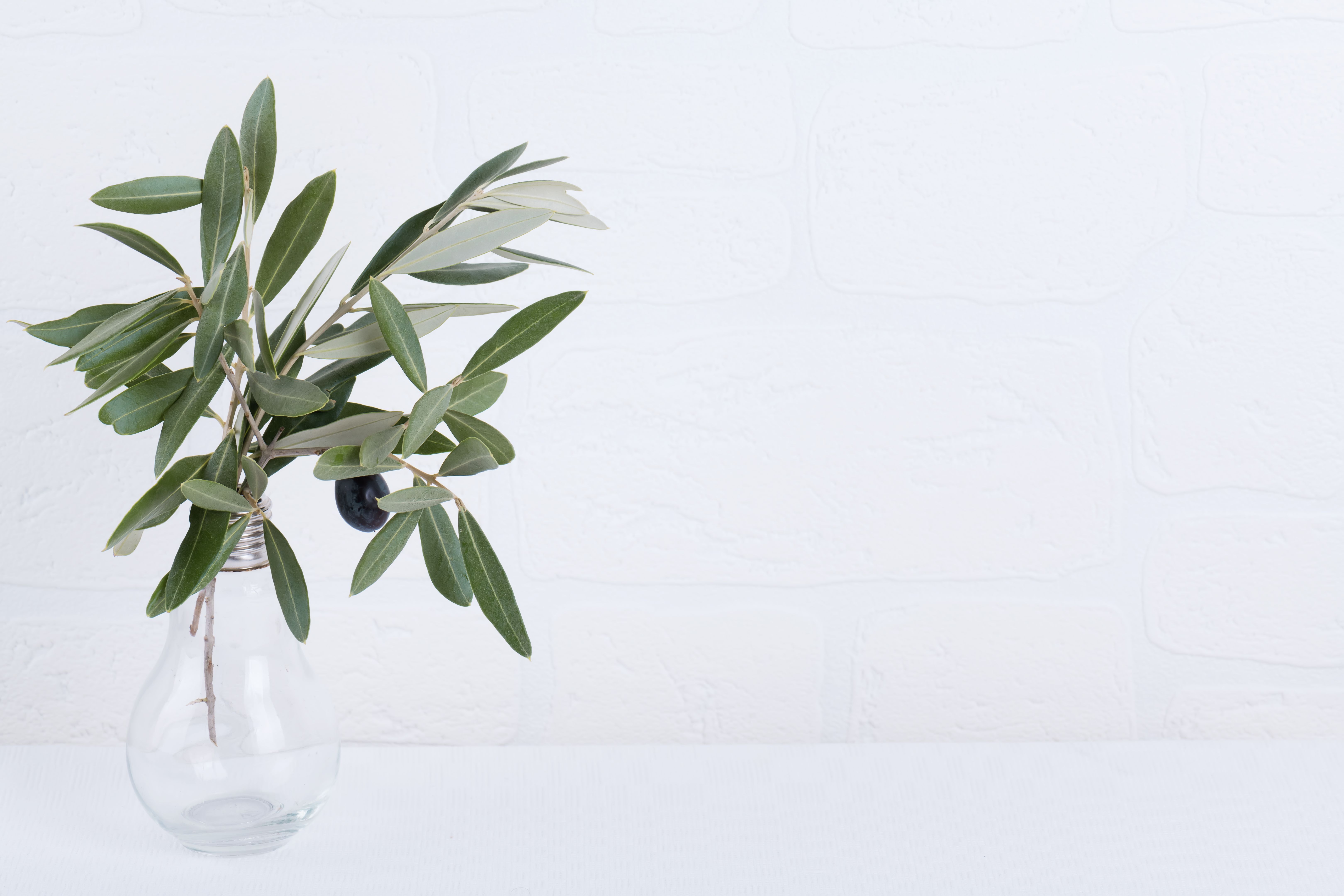 home insurance olive branch