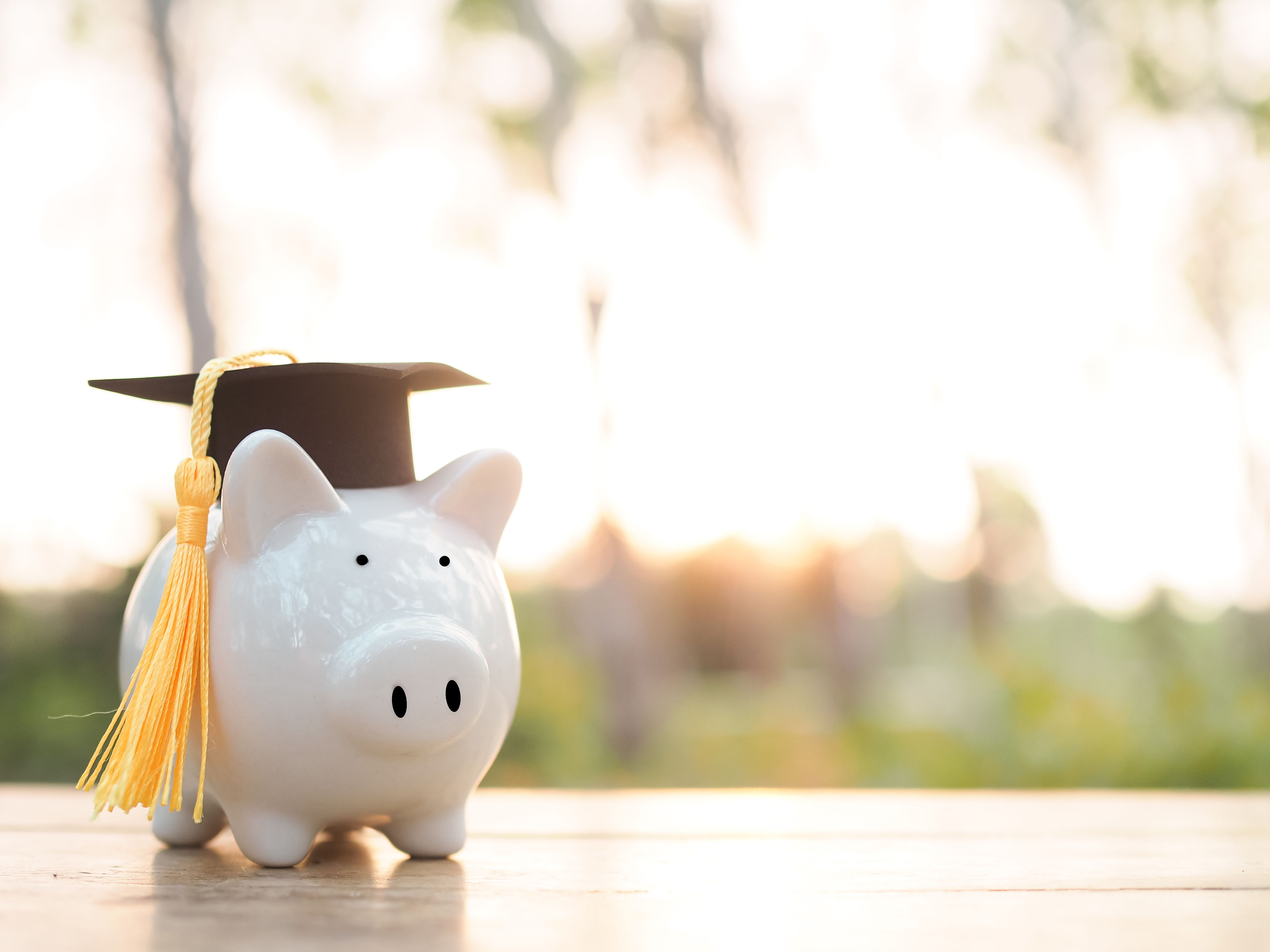 financial aid