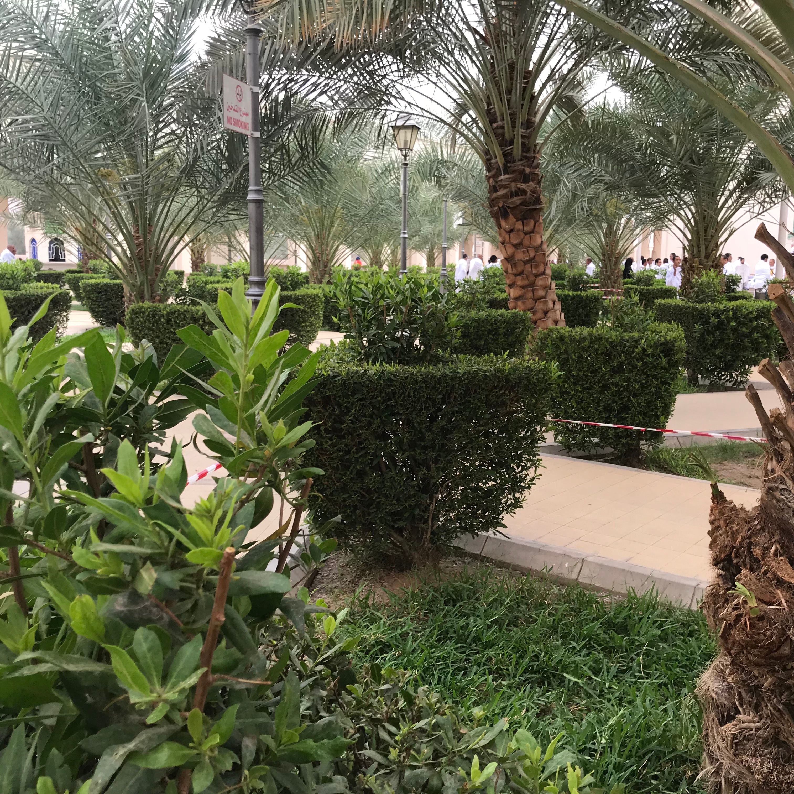alharam park