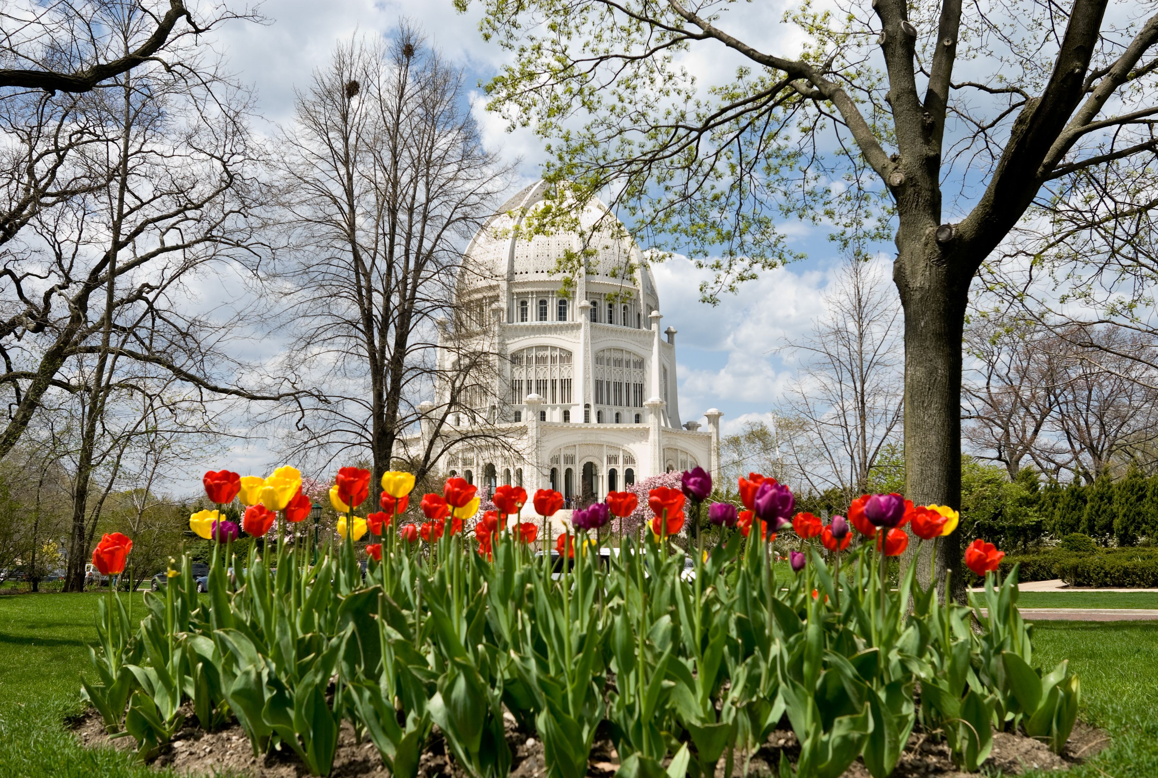 chicago garden spring